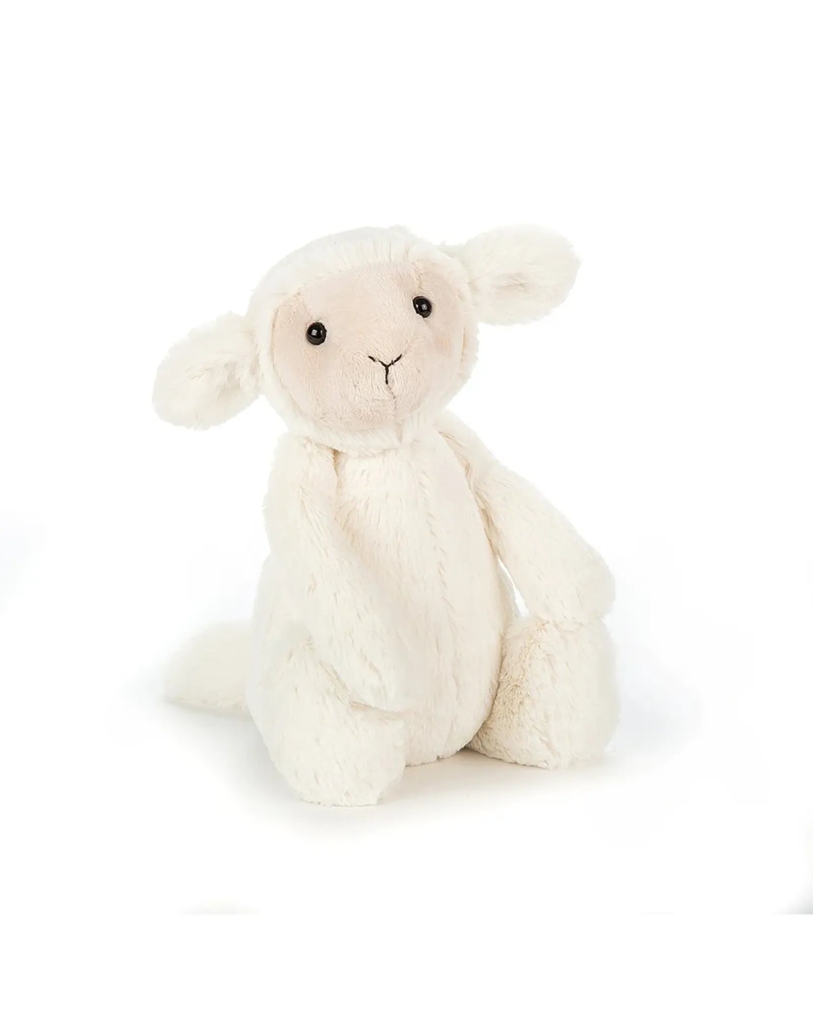 Bashful Lamb