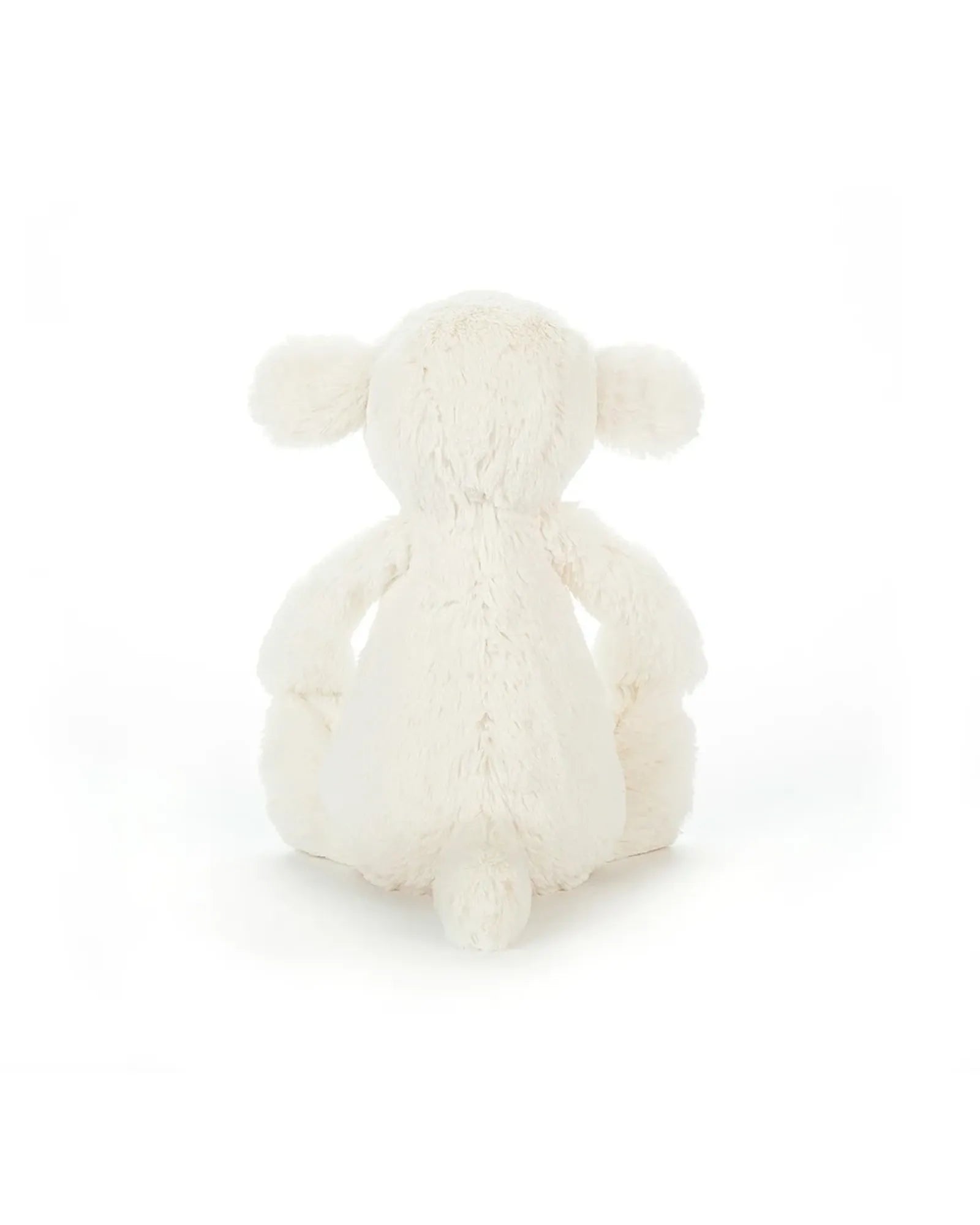 Bashful Lamb