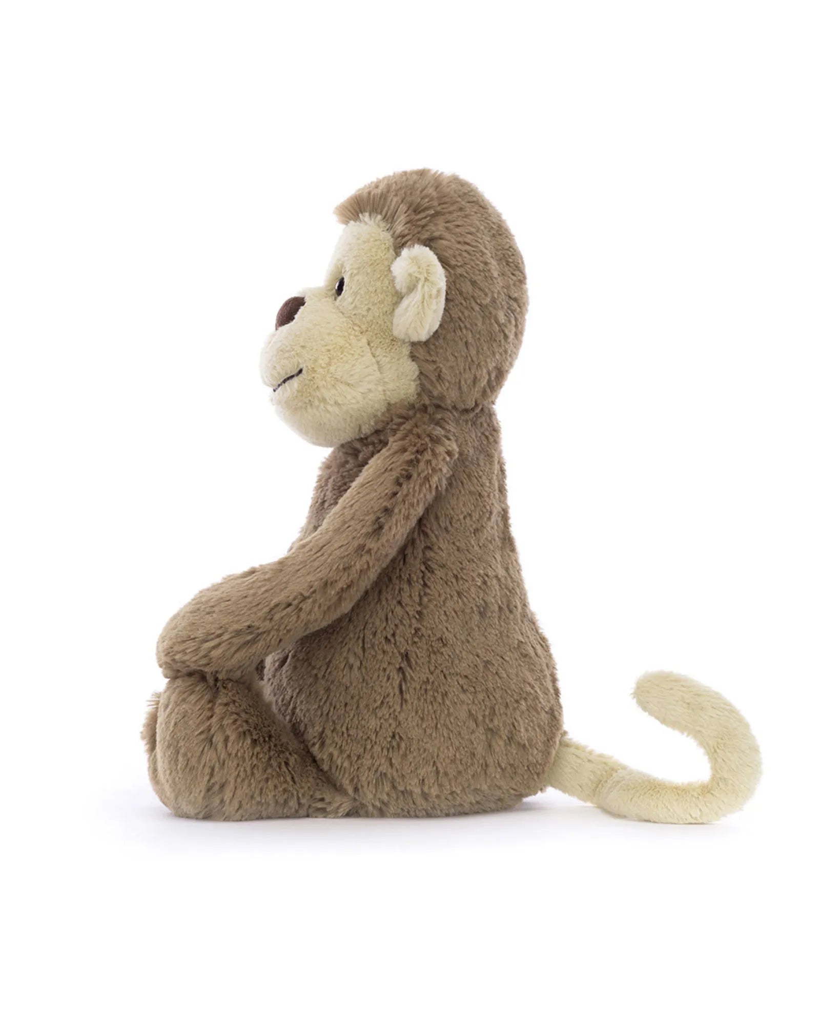 Bashful Monkey