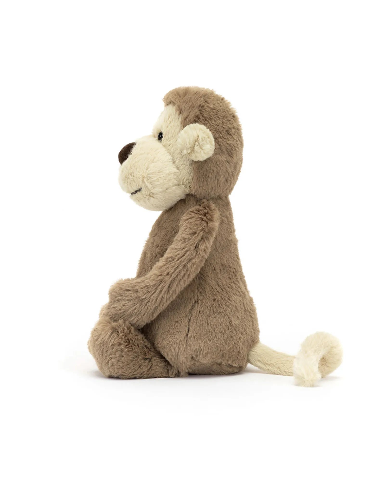 Bashful Monkey