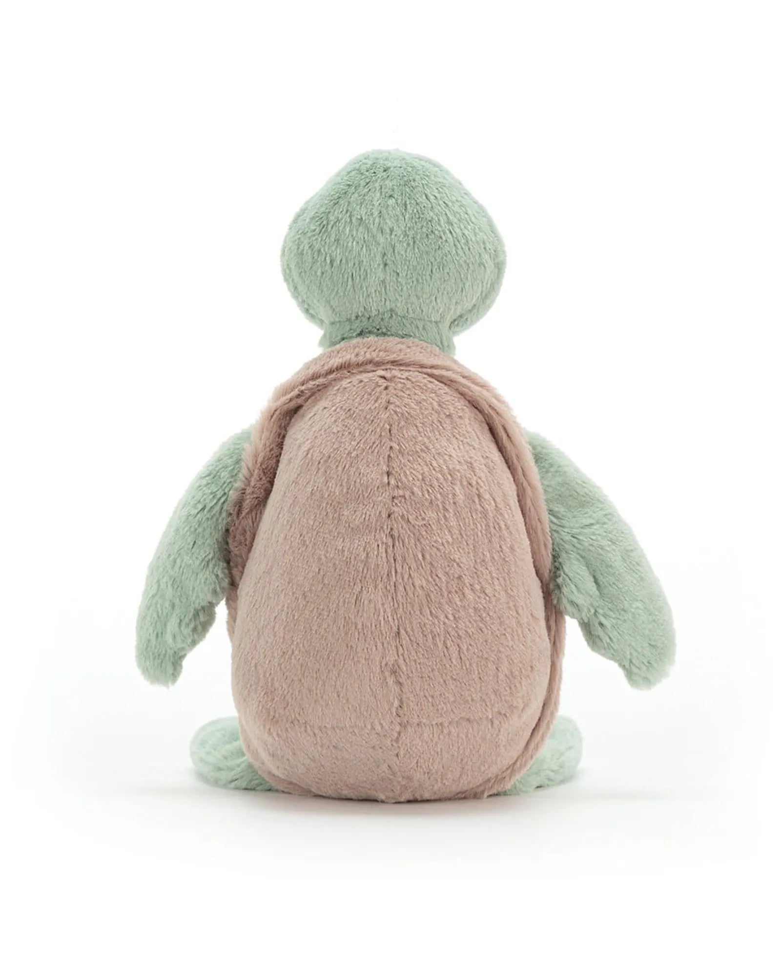 Bashful Turtle