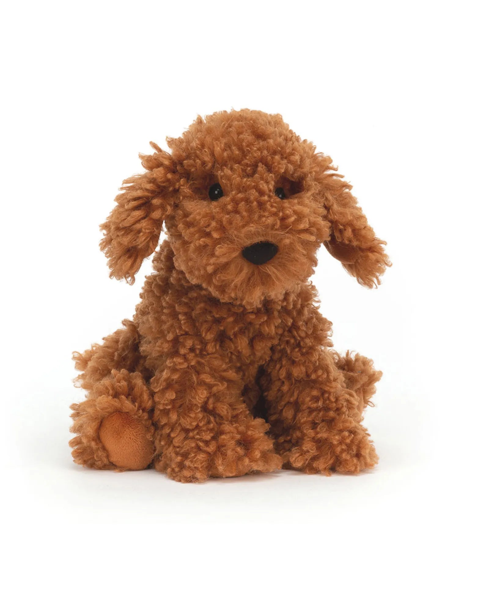 Cooper Doodle Dog