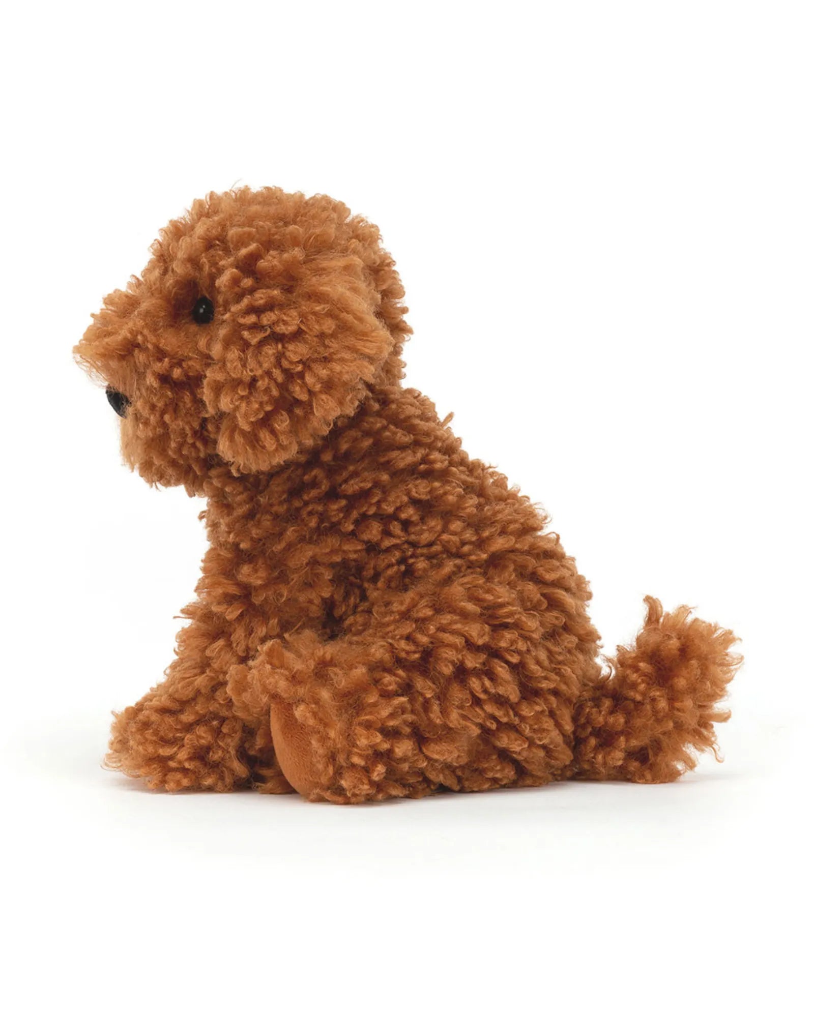 Cooper Doodle Dog