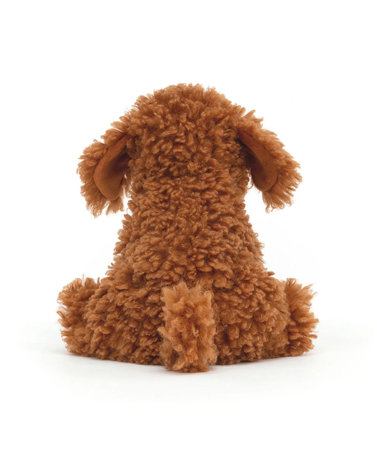 Cooper Doodle Dog