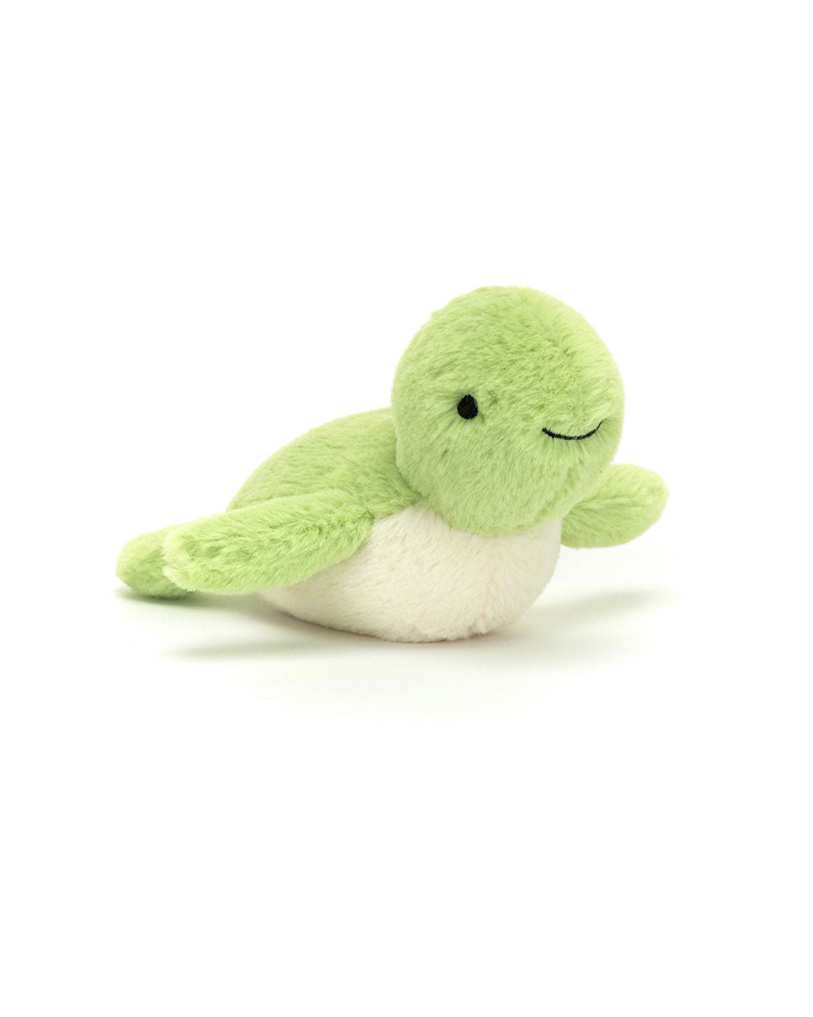 Fluffy Turtle