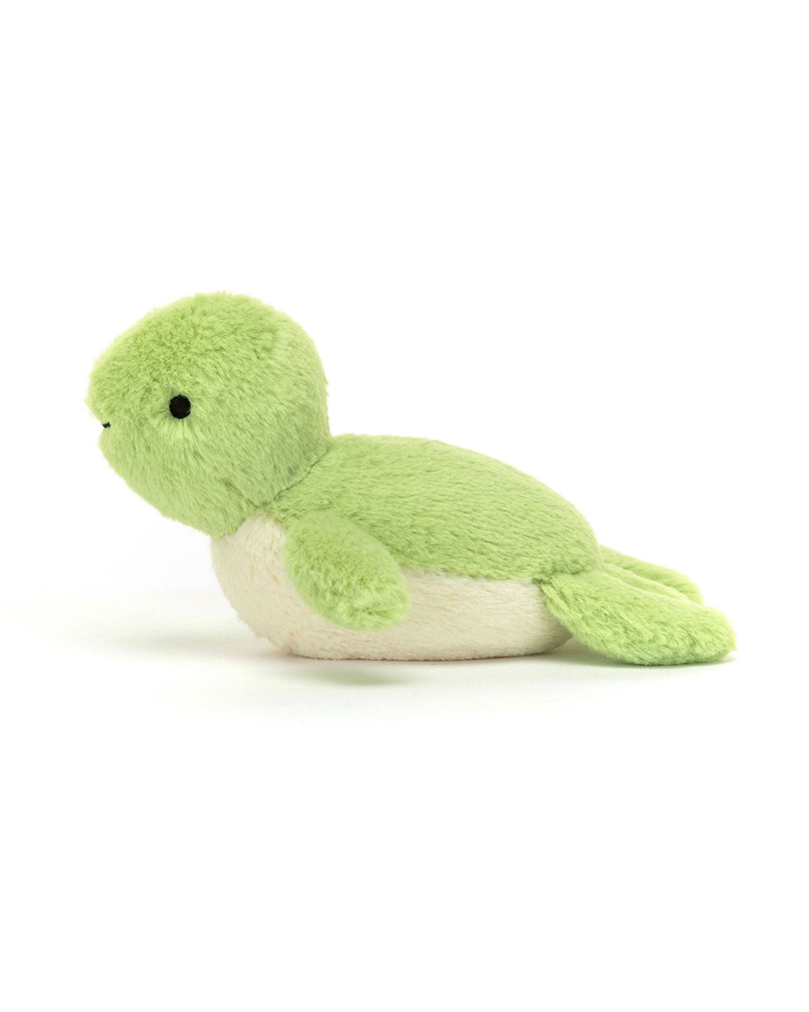 Fluffy Turtle
