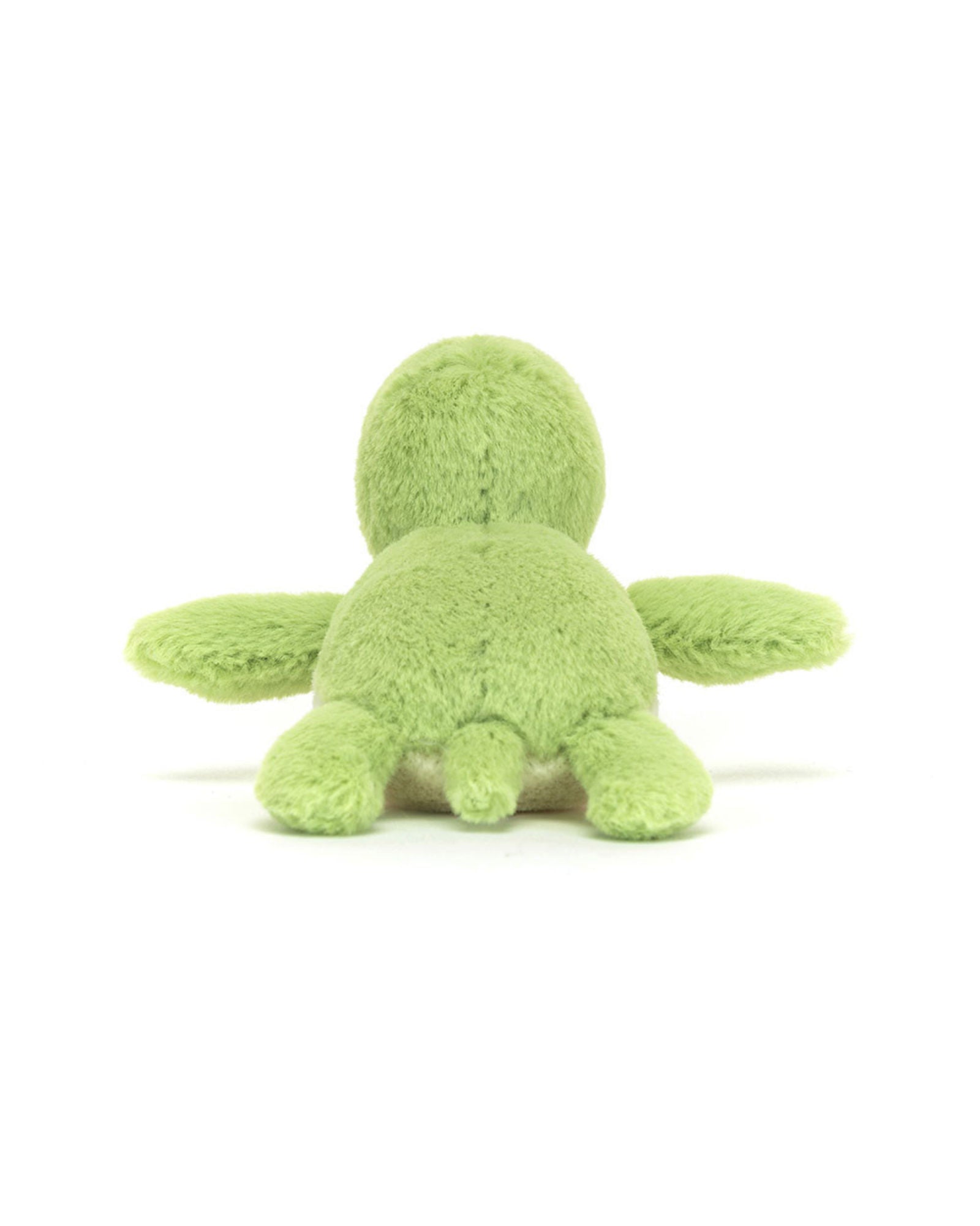 Fluffy Turtle