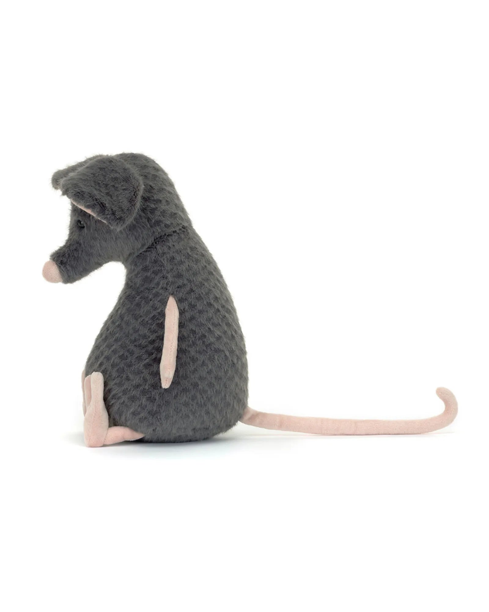 Lachlan Sad Rat
