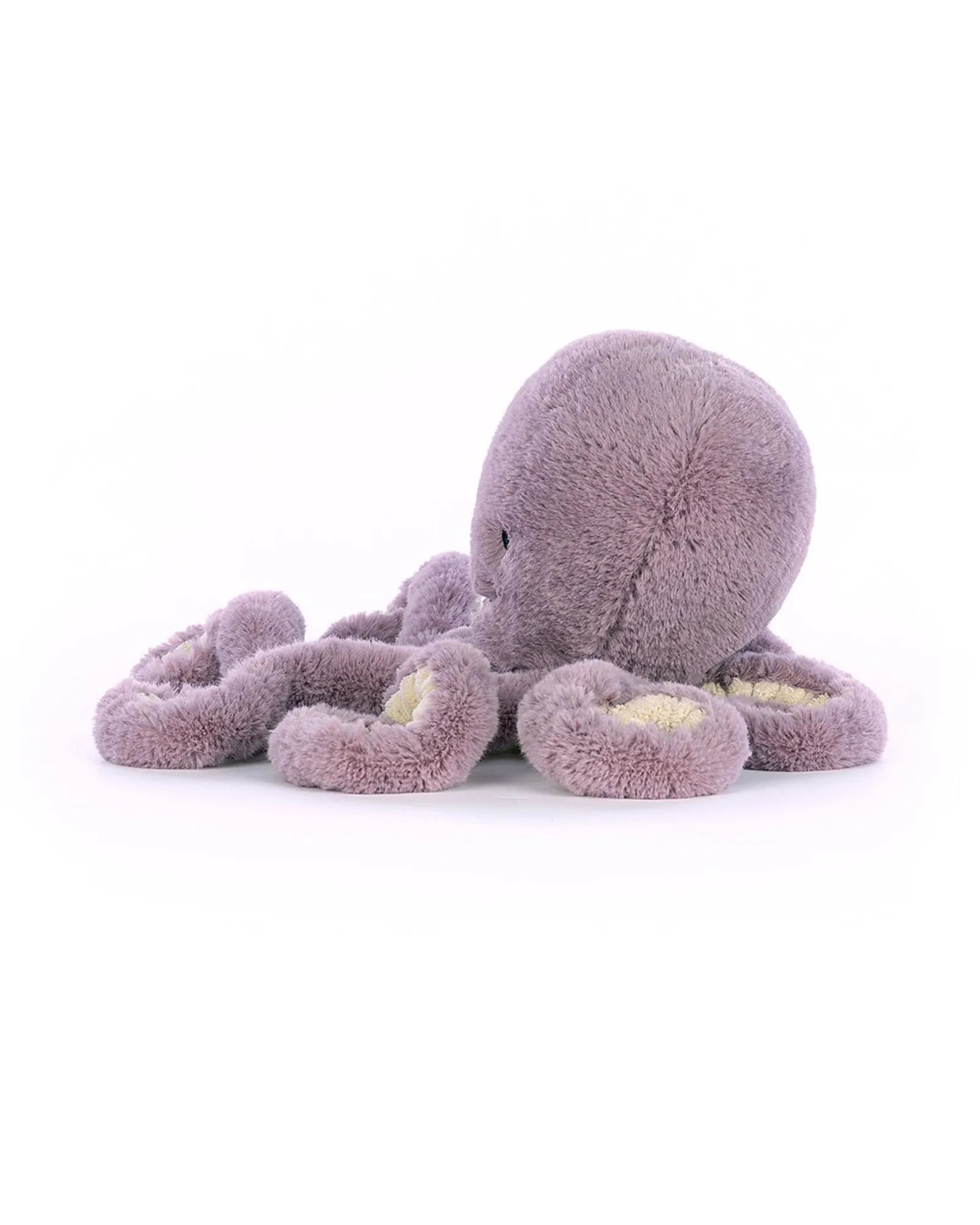 Maya Octopus