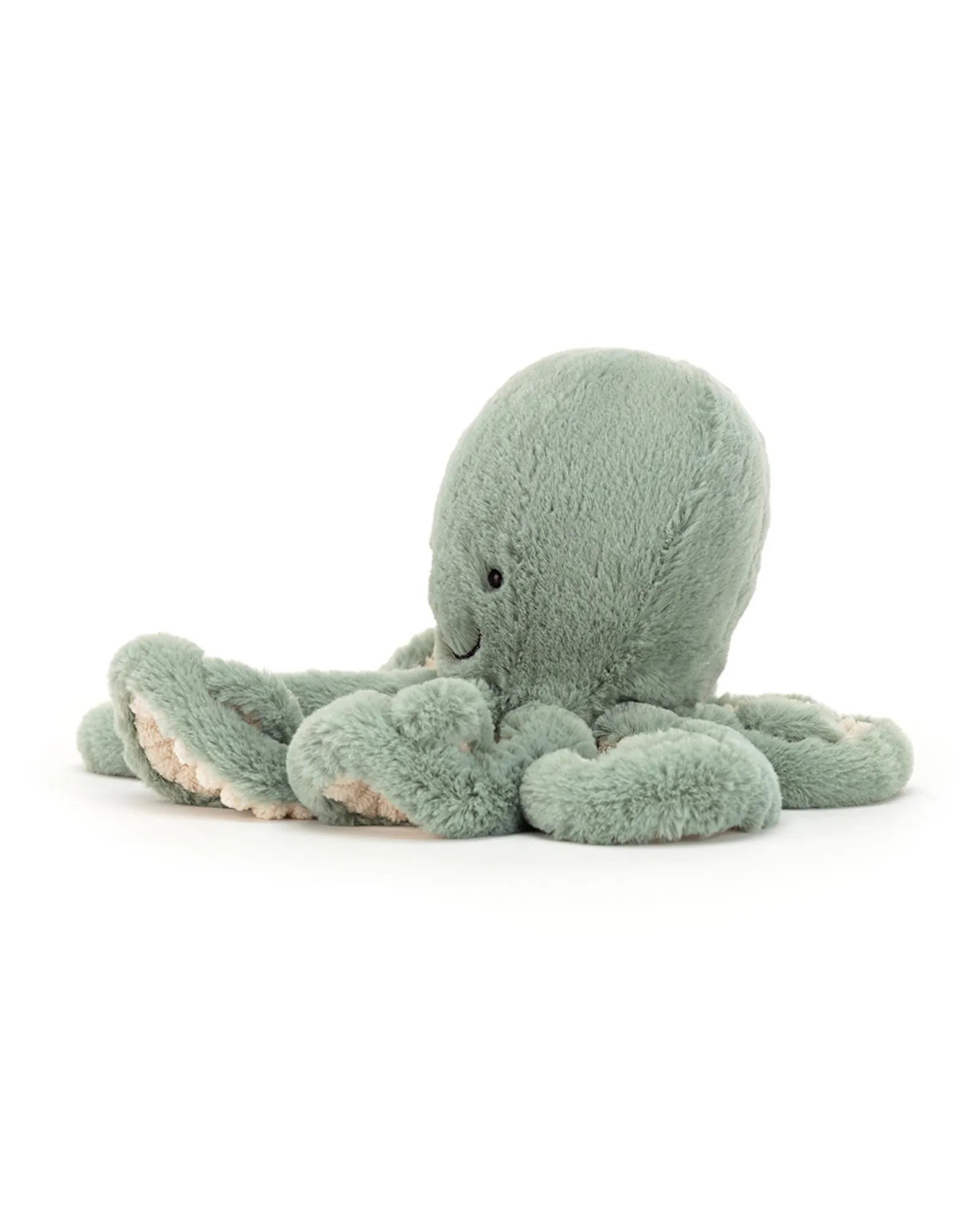Odyssey Octopus
