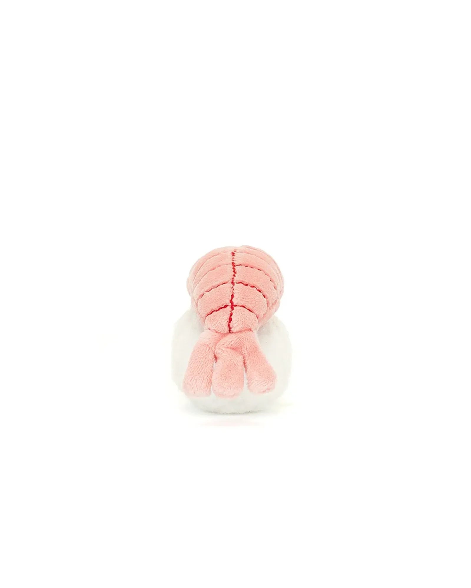 Sassy Sushi Nigiri