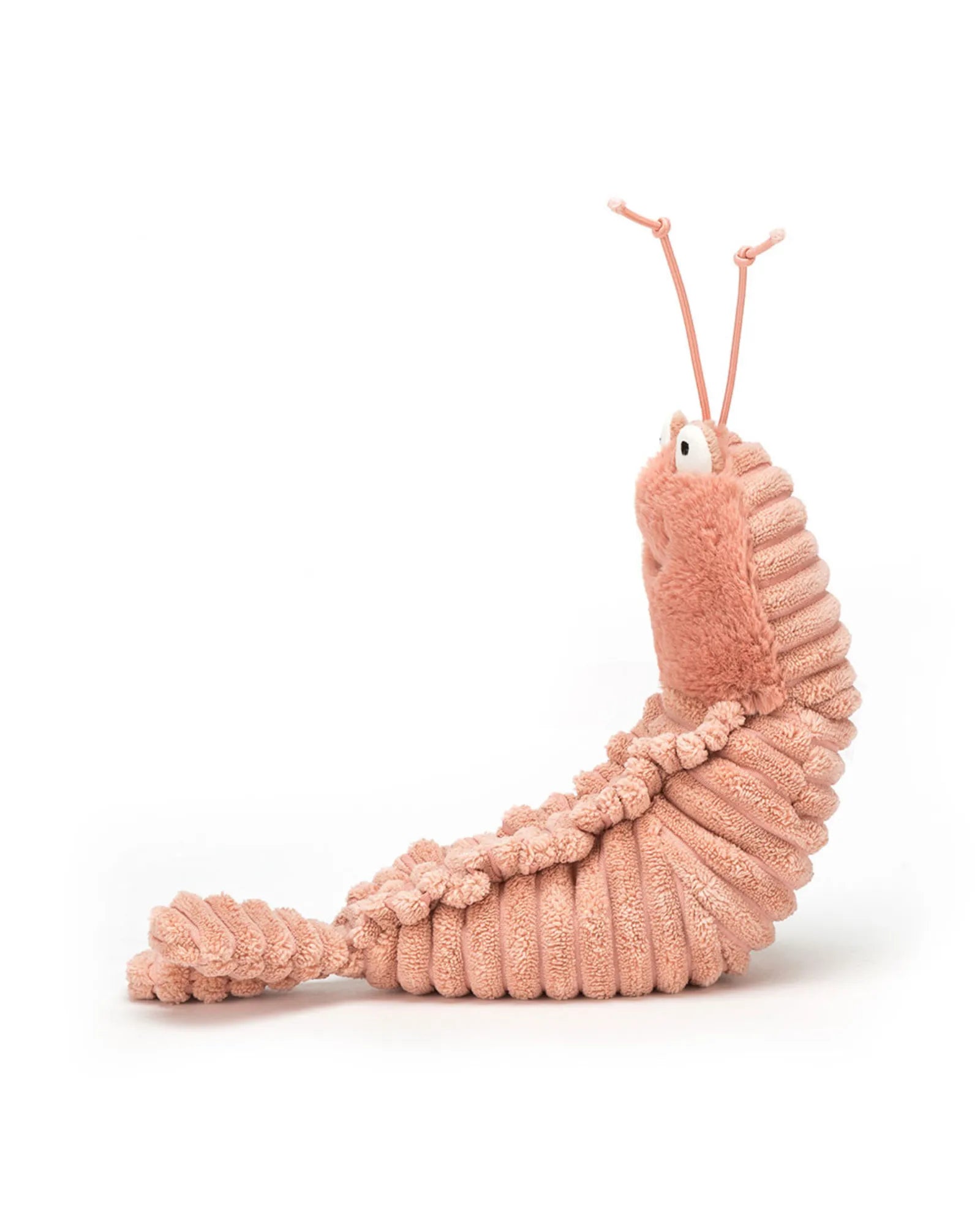Sheldon Shrimp
