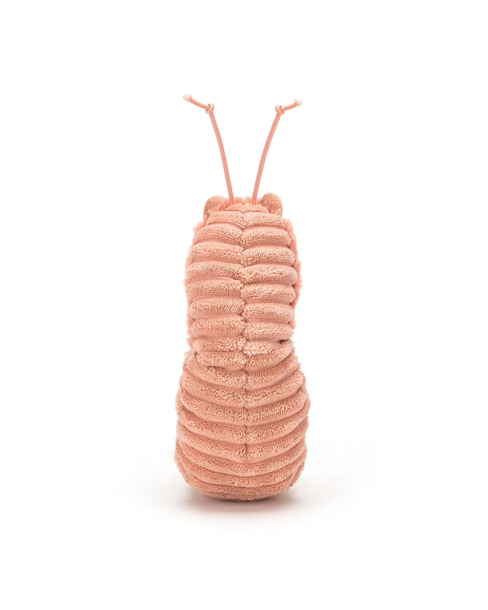 Sheldon Shrimp