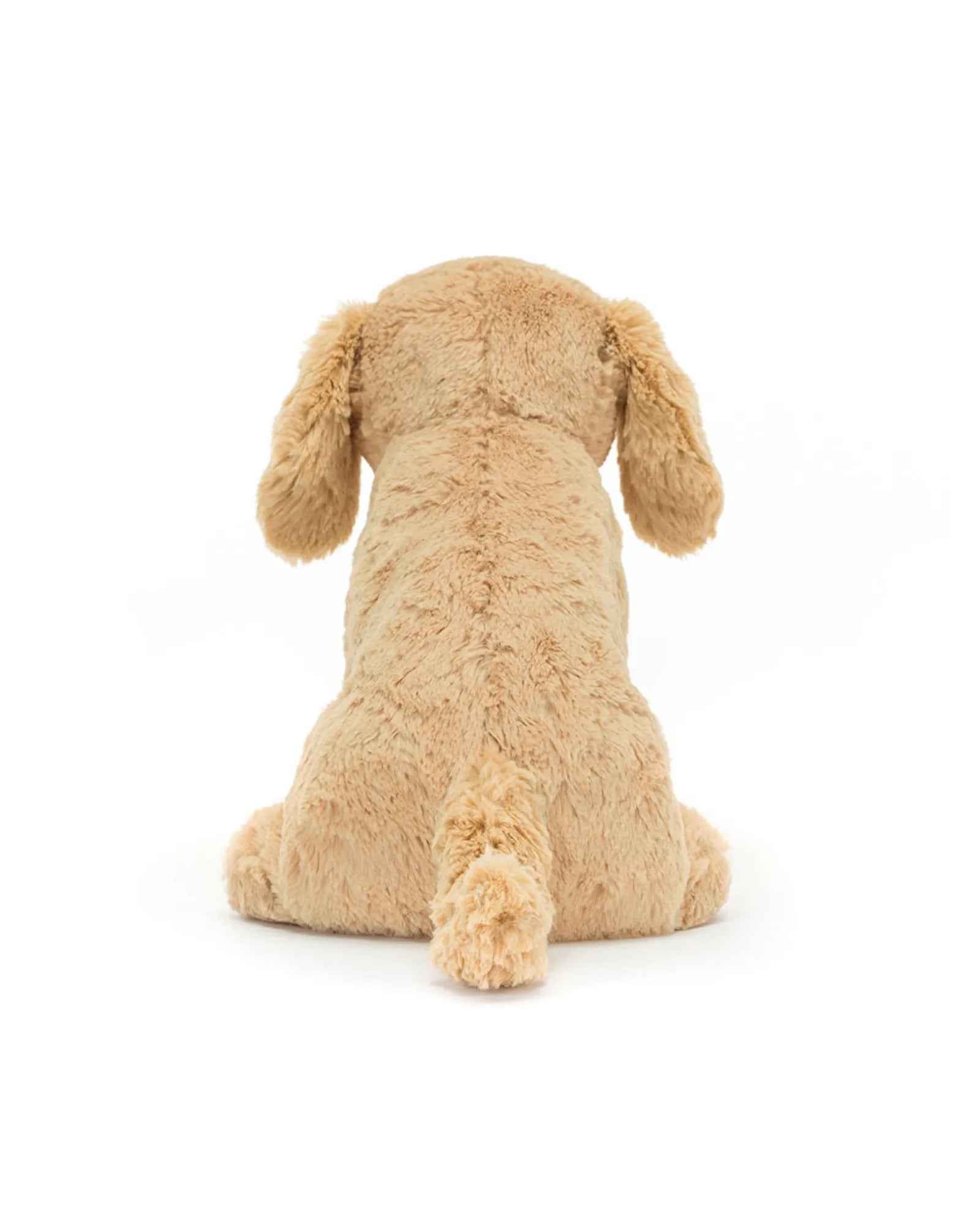 Tilly Golden Retriever