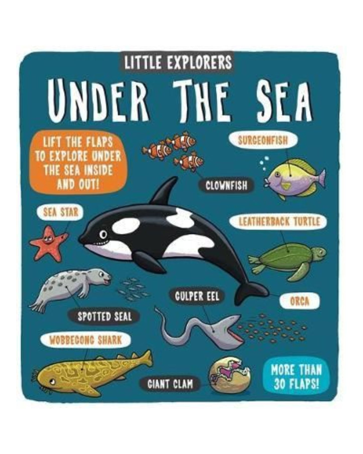 Little Explorers: Under The Sea