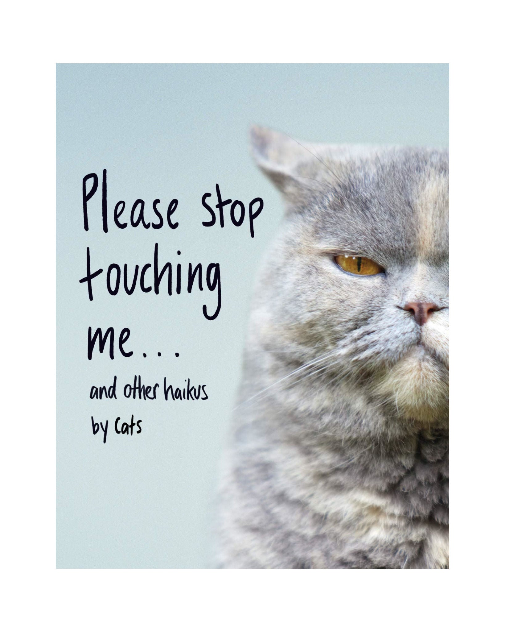 Please Stop Touching Me And Other Haikus By Cats