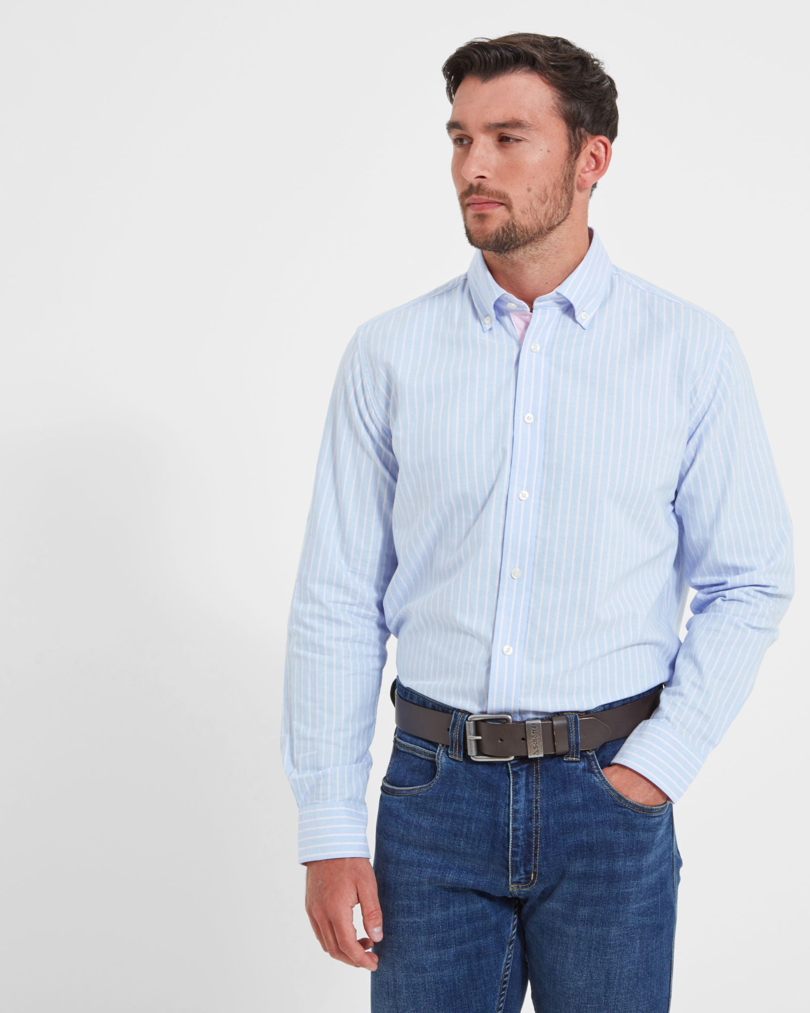 Holt Soft Oxford Tailored Shirt - Blue/Pink Stripe
