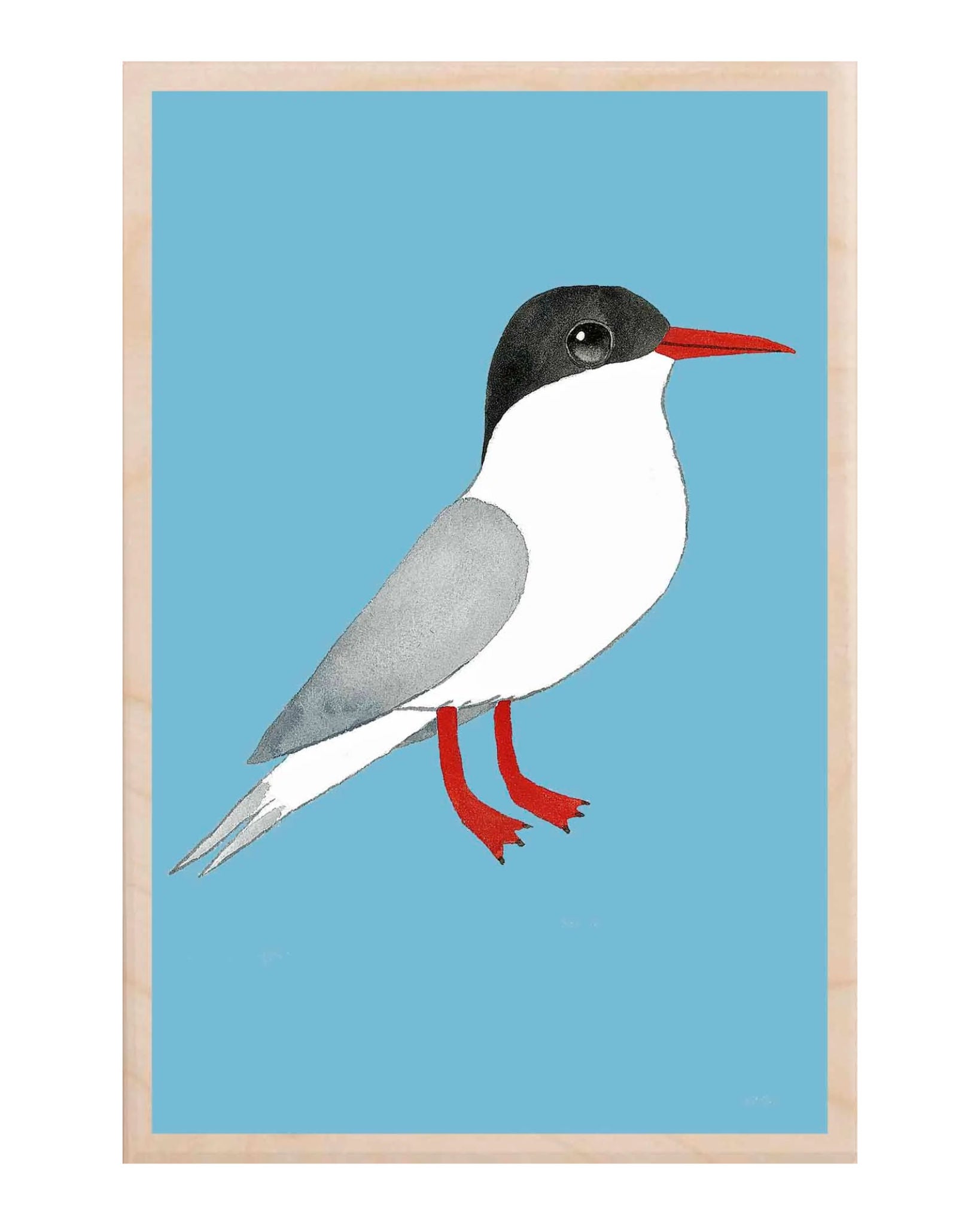 Tern Wooden Postcard