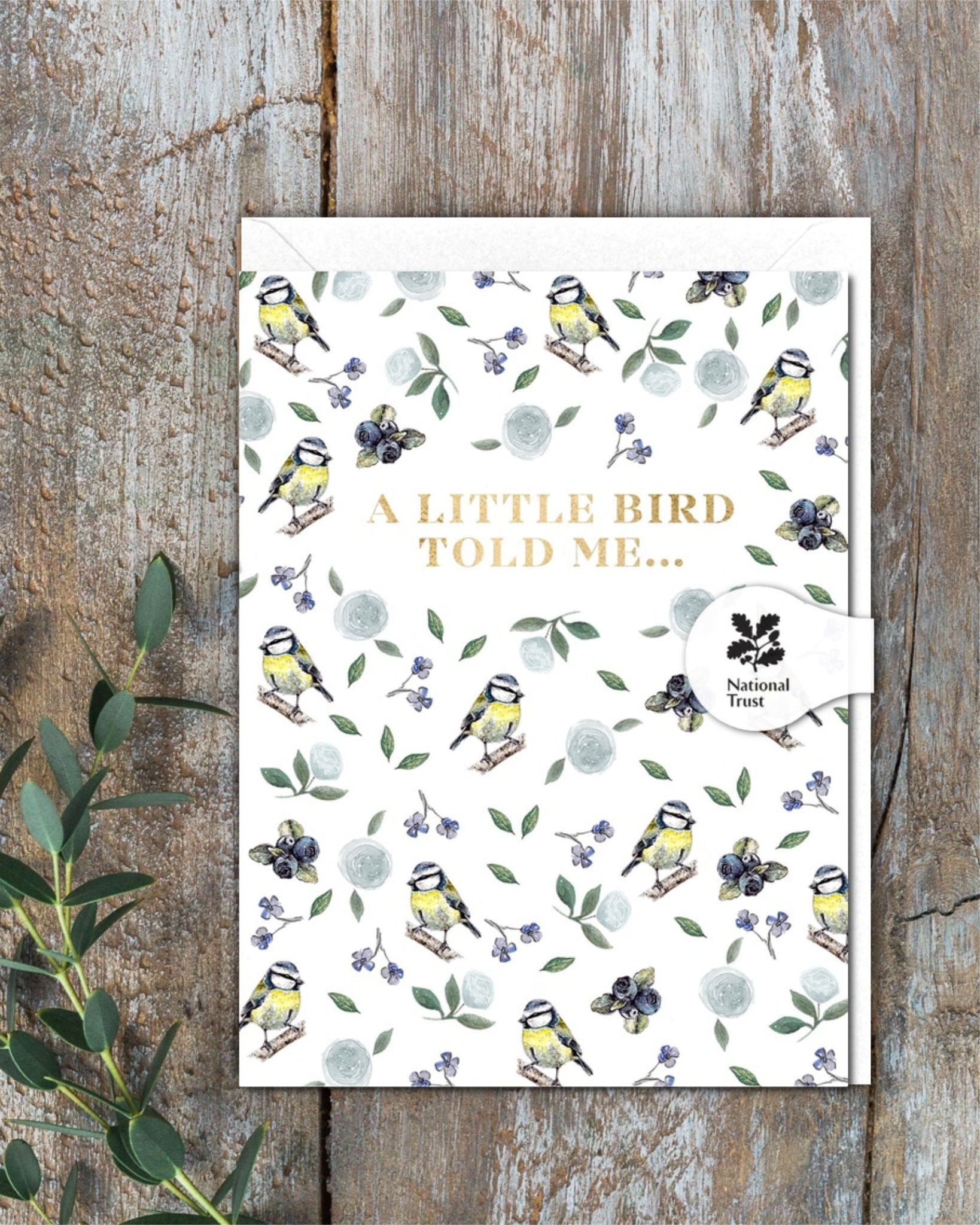 A Little Bird Told Me (Bluetit Pure) Card