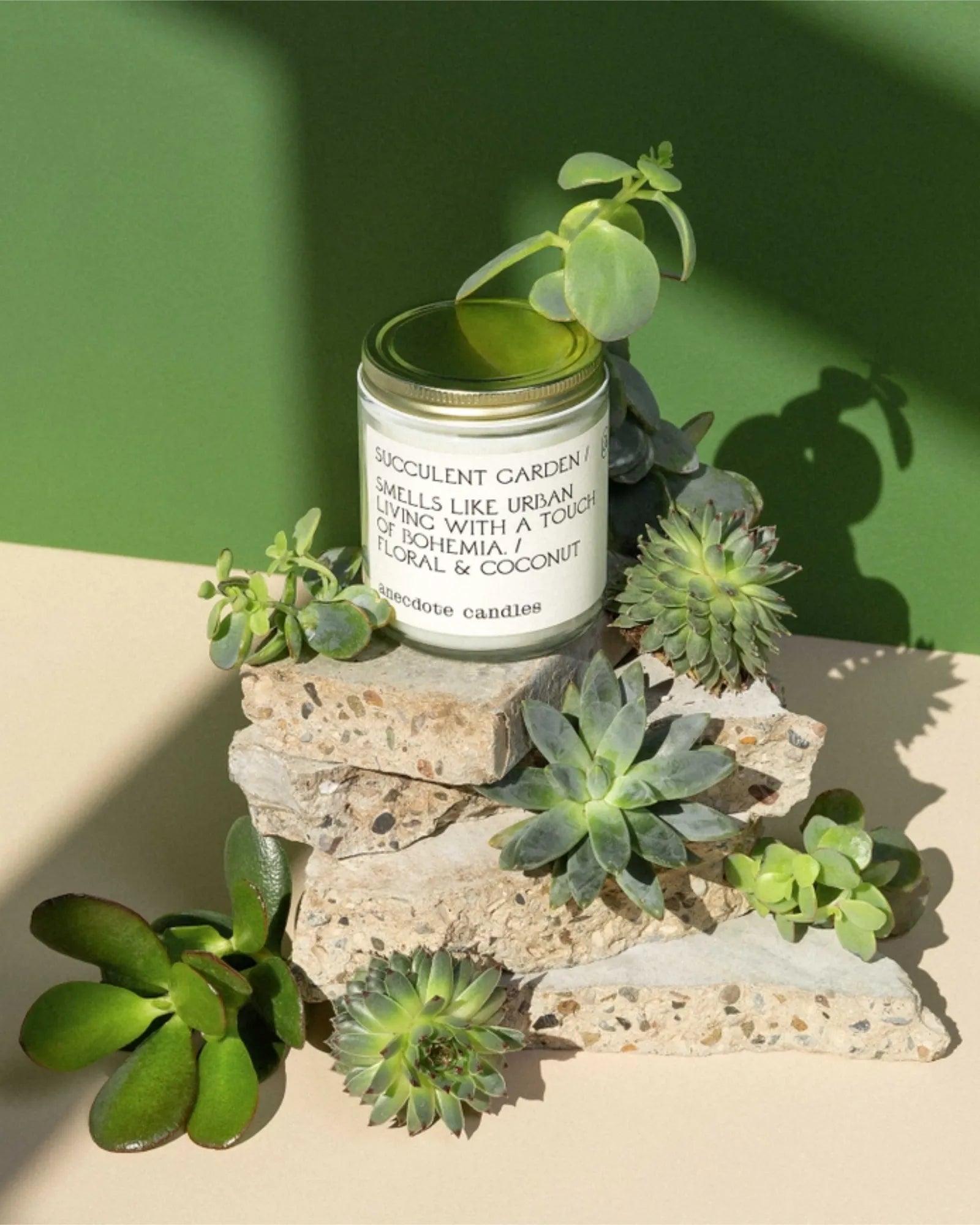 Succulent Garden (Floral & Coconut) 7.8 oz Candle