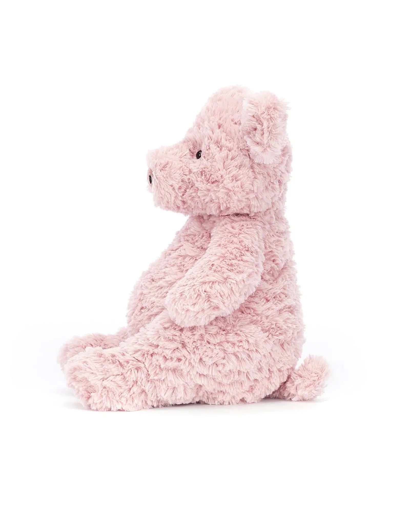 Barnabus Pig