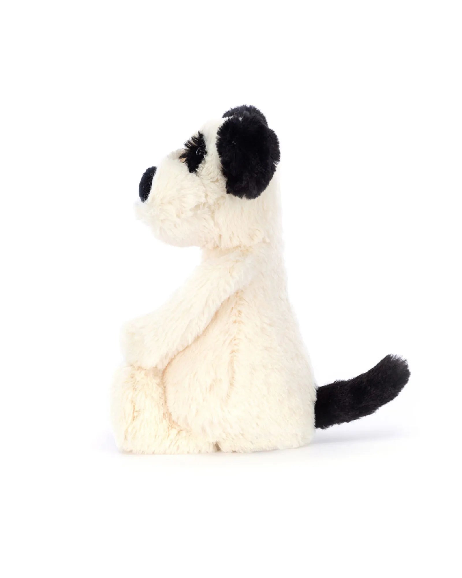 Bashful Black & Cream Puppy