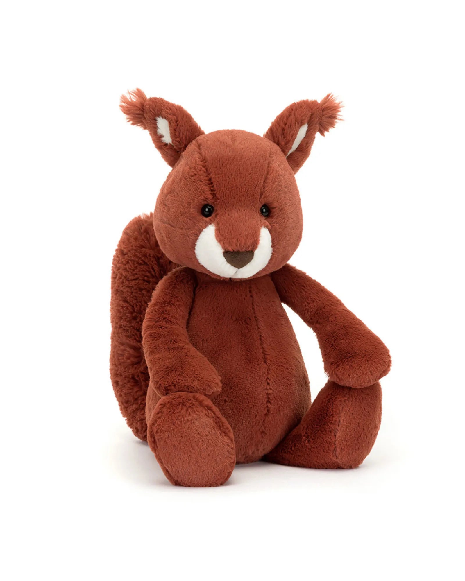 Bashful Squirrel