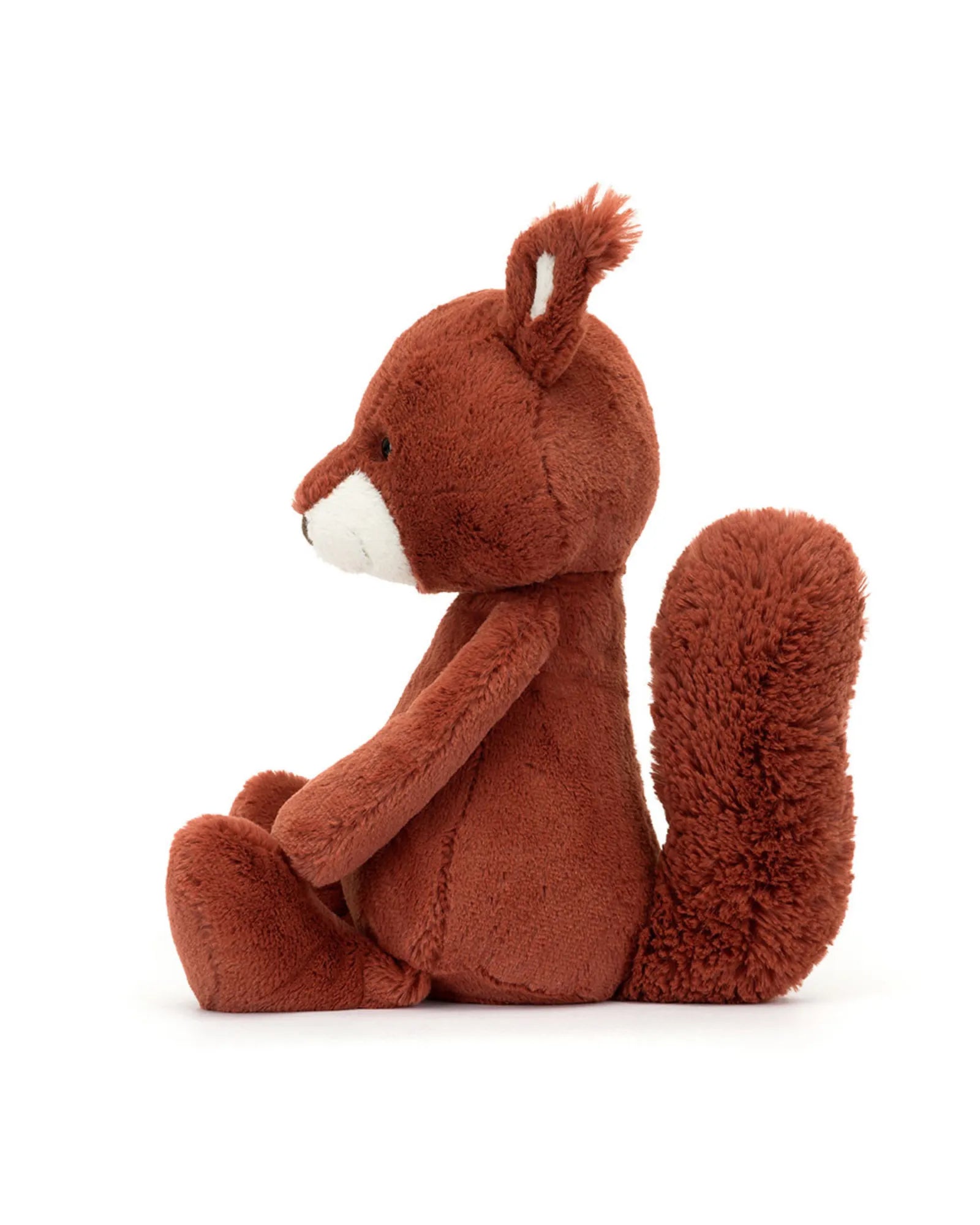 Bashful Squirrel