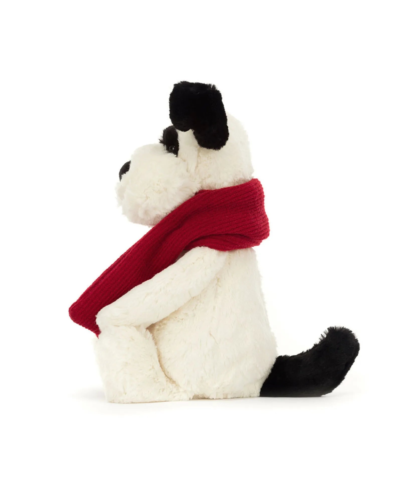 Bashful Winter Puppy