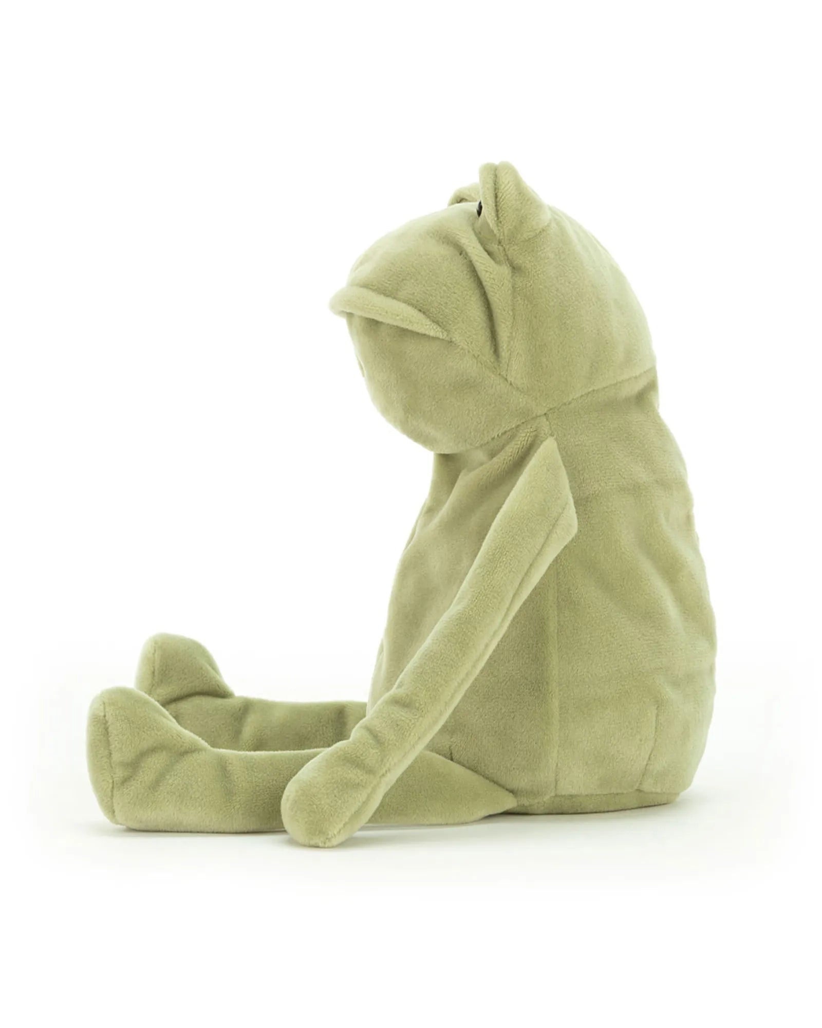 Fergus Frog Little