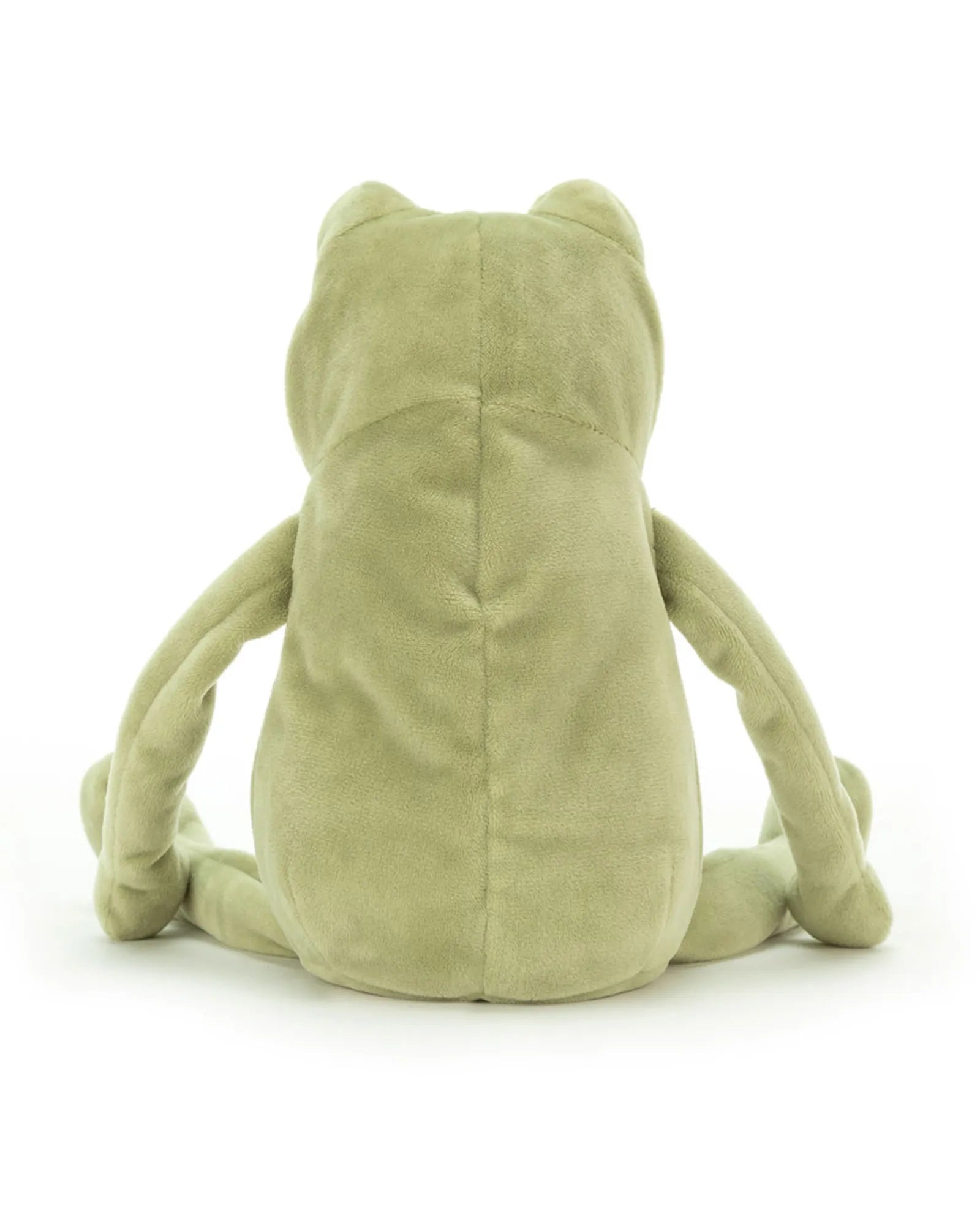 Fergus Frog Little