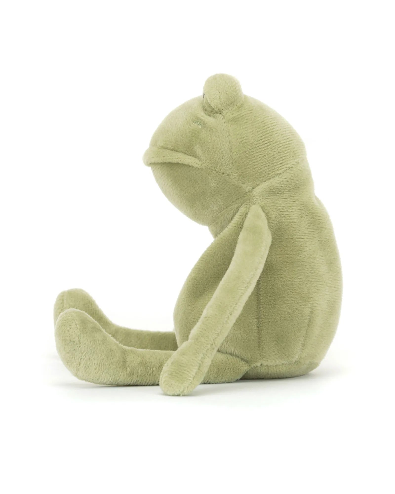 Fergus Frog Little