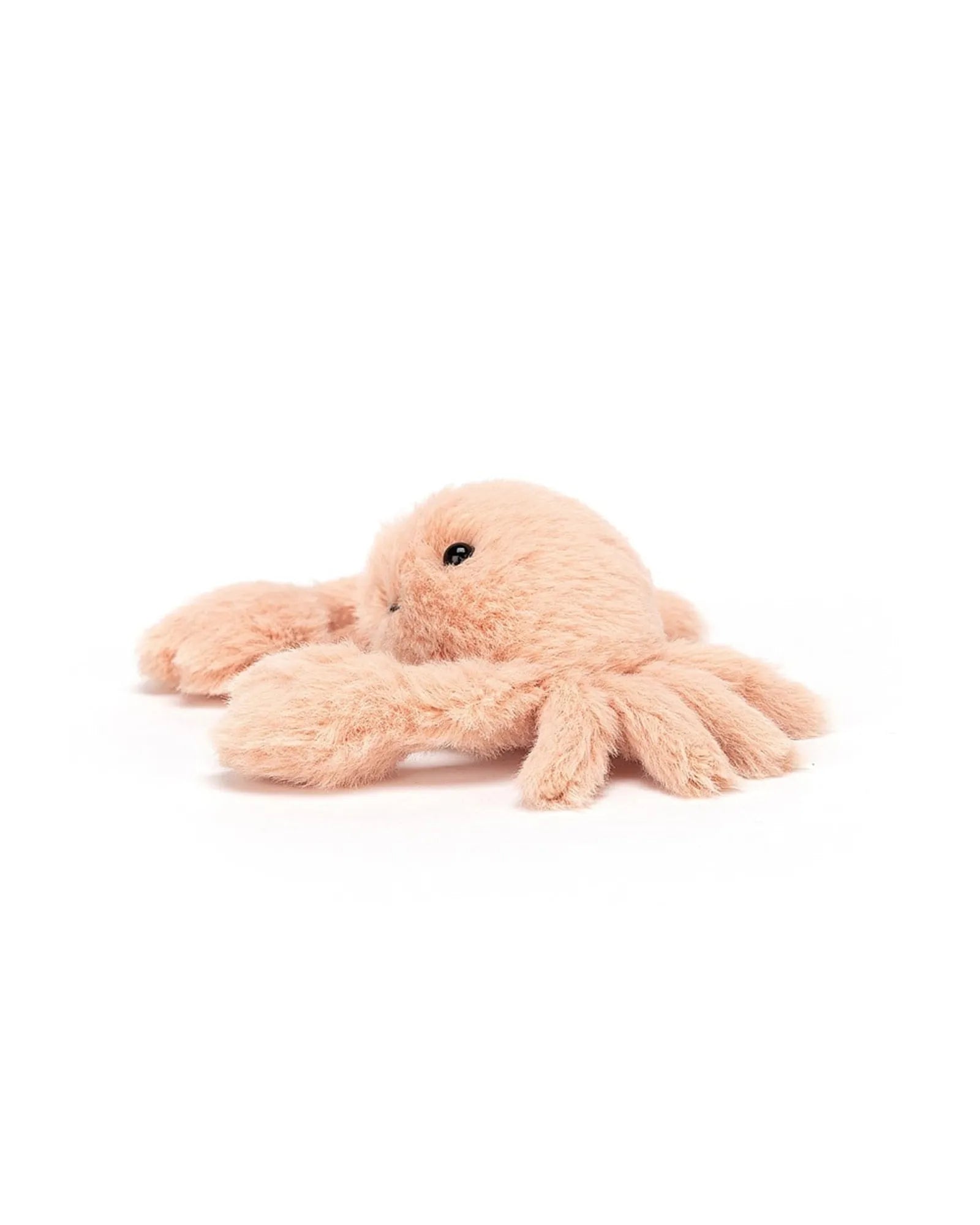 Fluffy Crab
