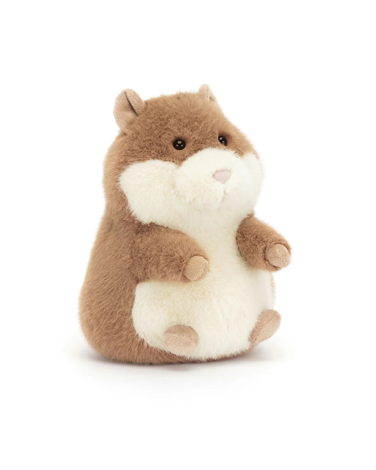 Gordy Guinea Pig