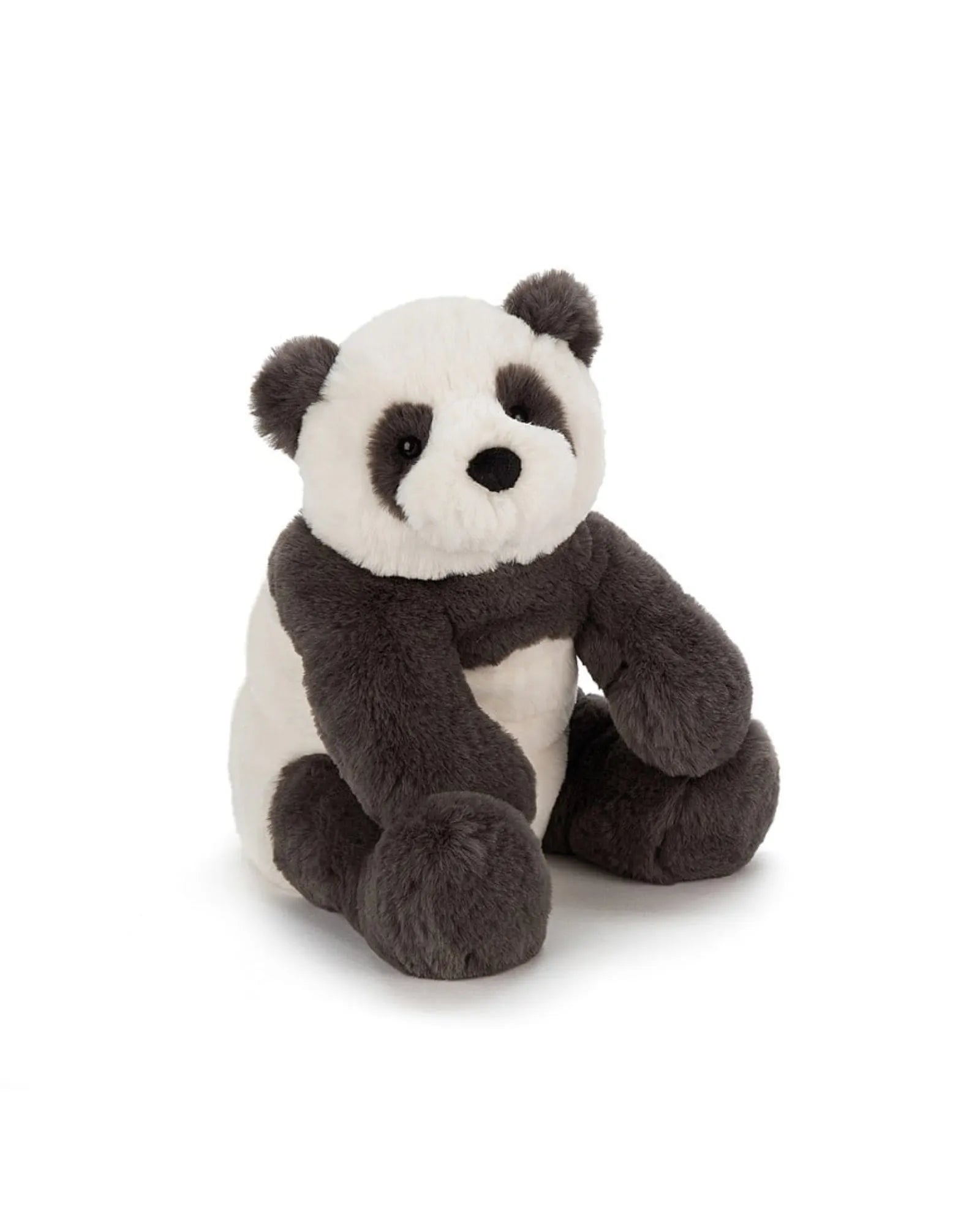 Harry Panda Cub