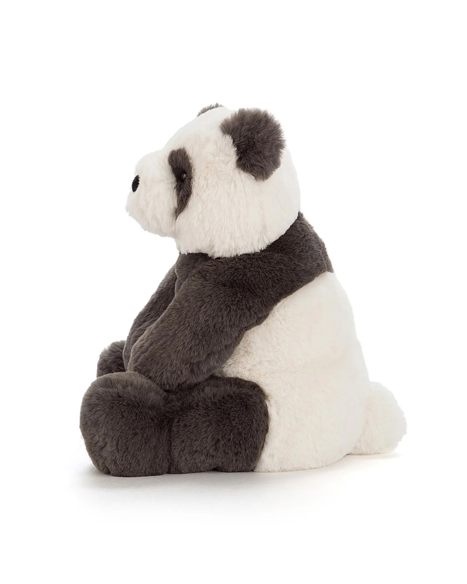 Harry Panda Cub