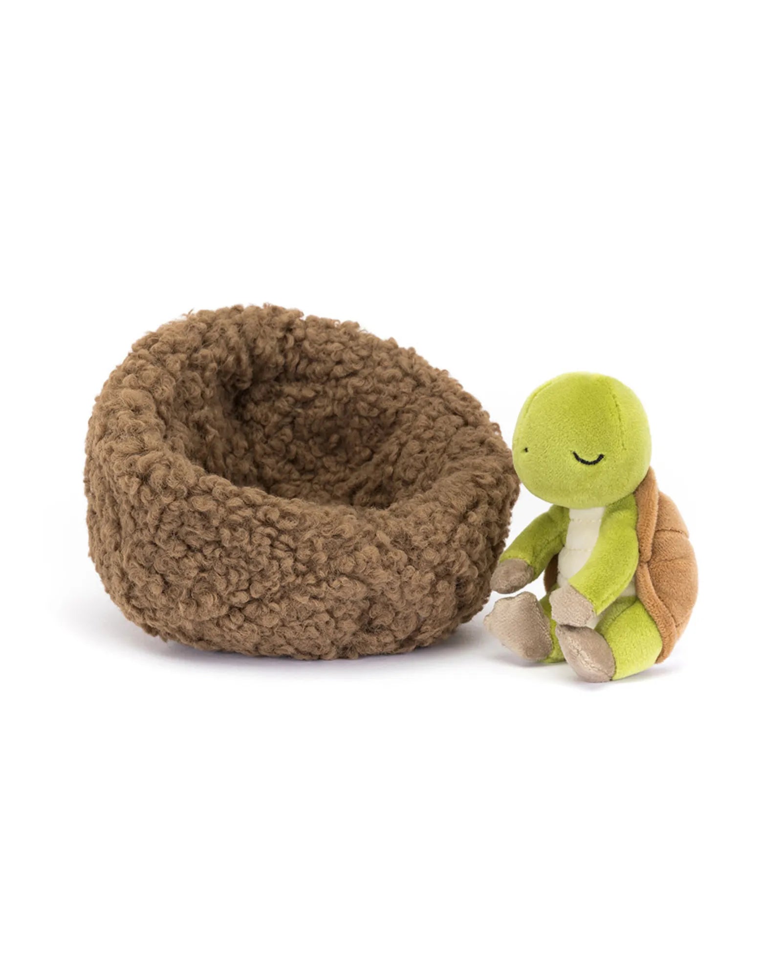 Hibernating Tortoise