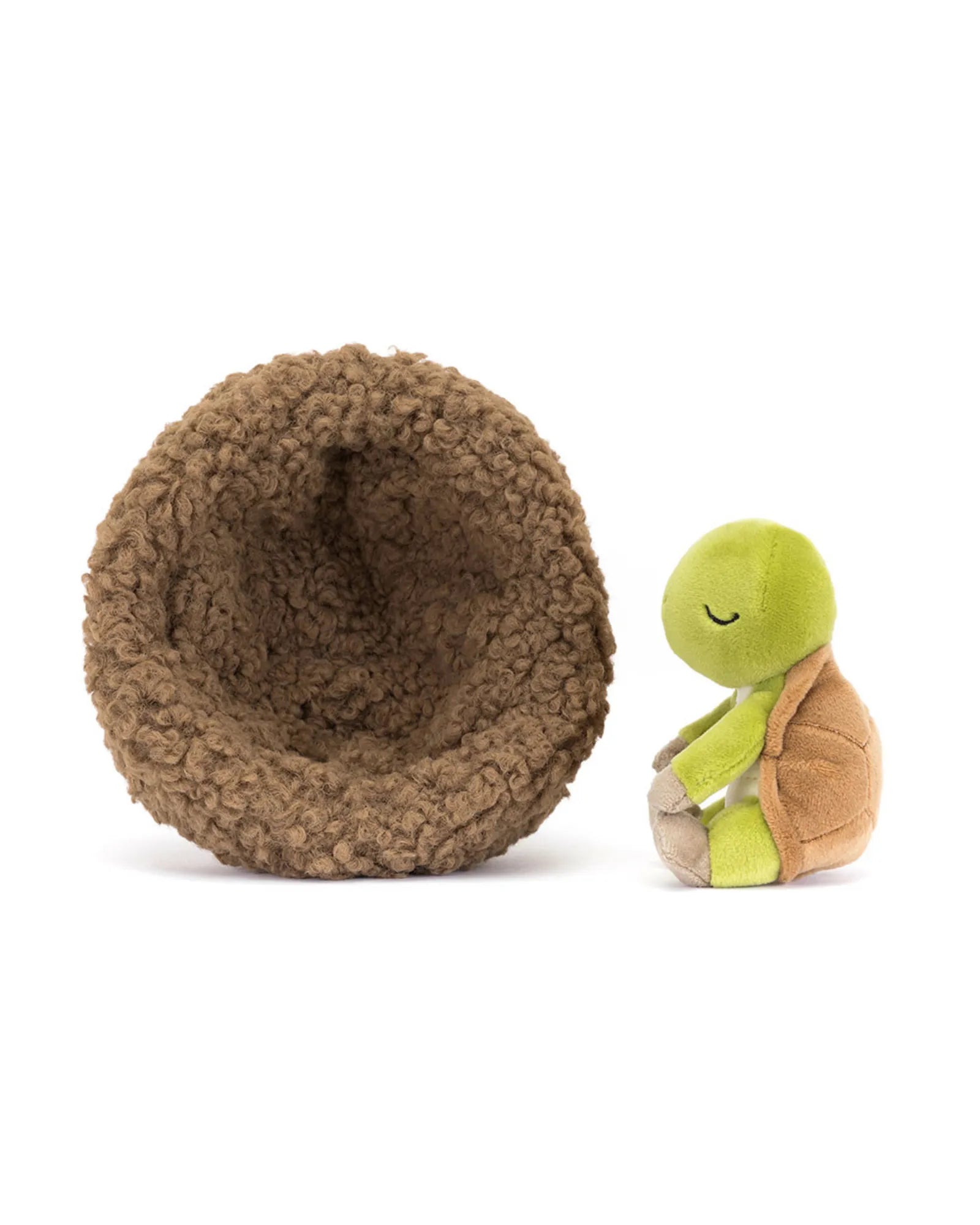 Hibernating Tortoise