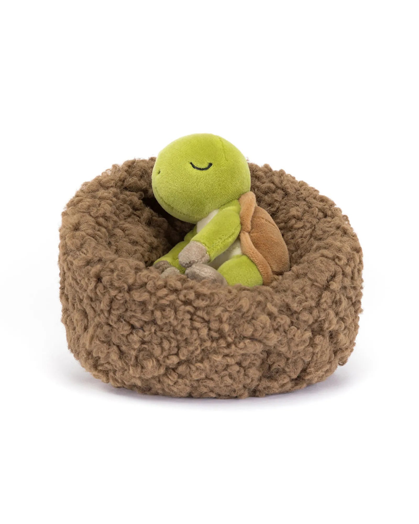 Hibernating Tortoise
