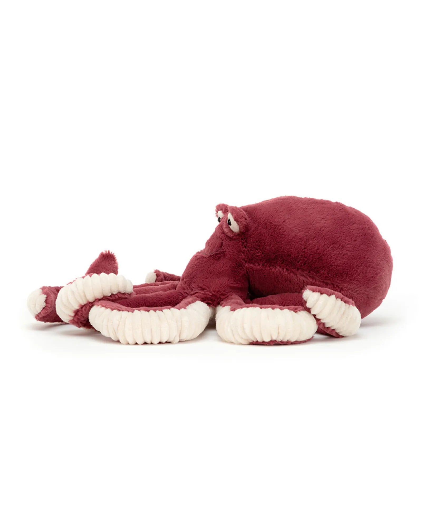 Obbie Octopus