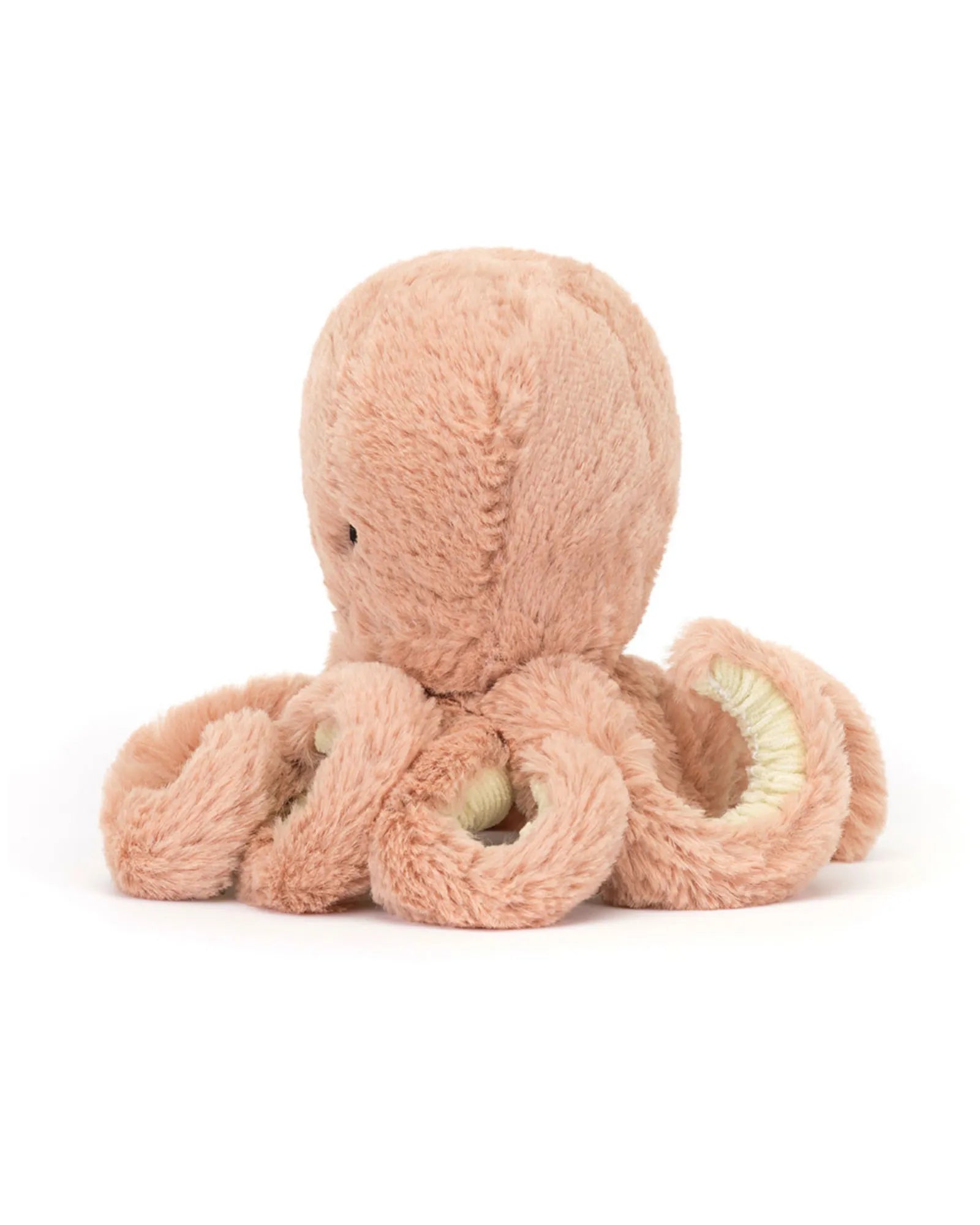 Odell Octopus