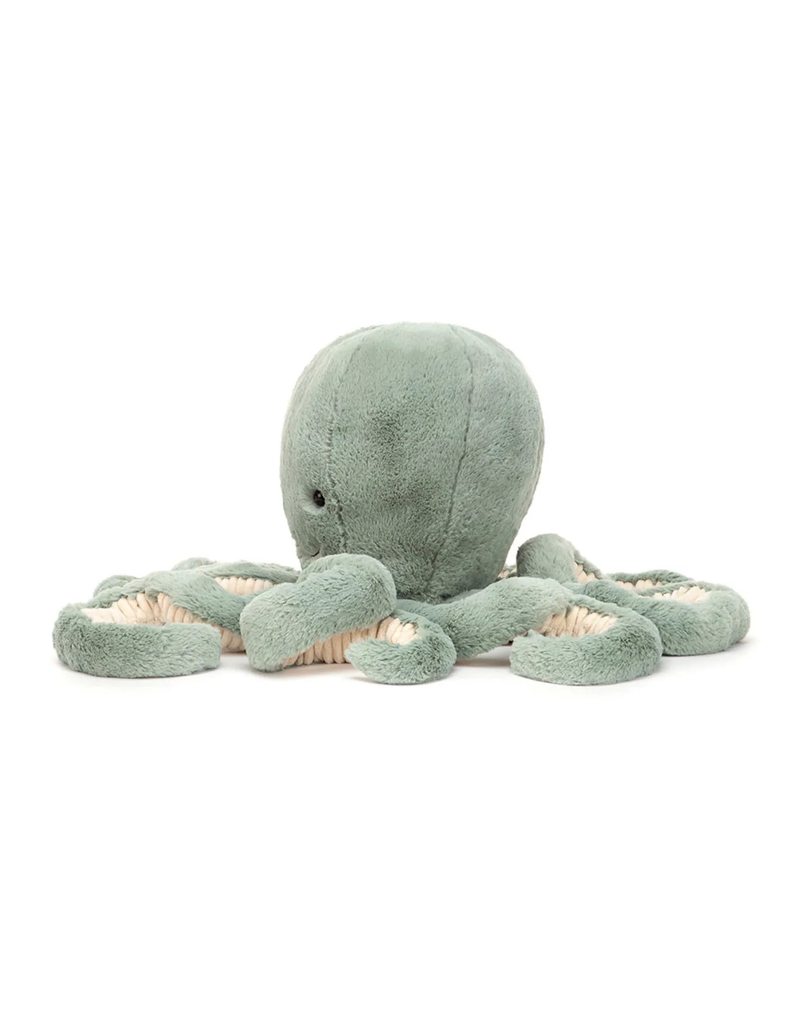Odyssey Octopus