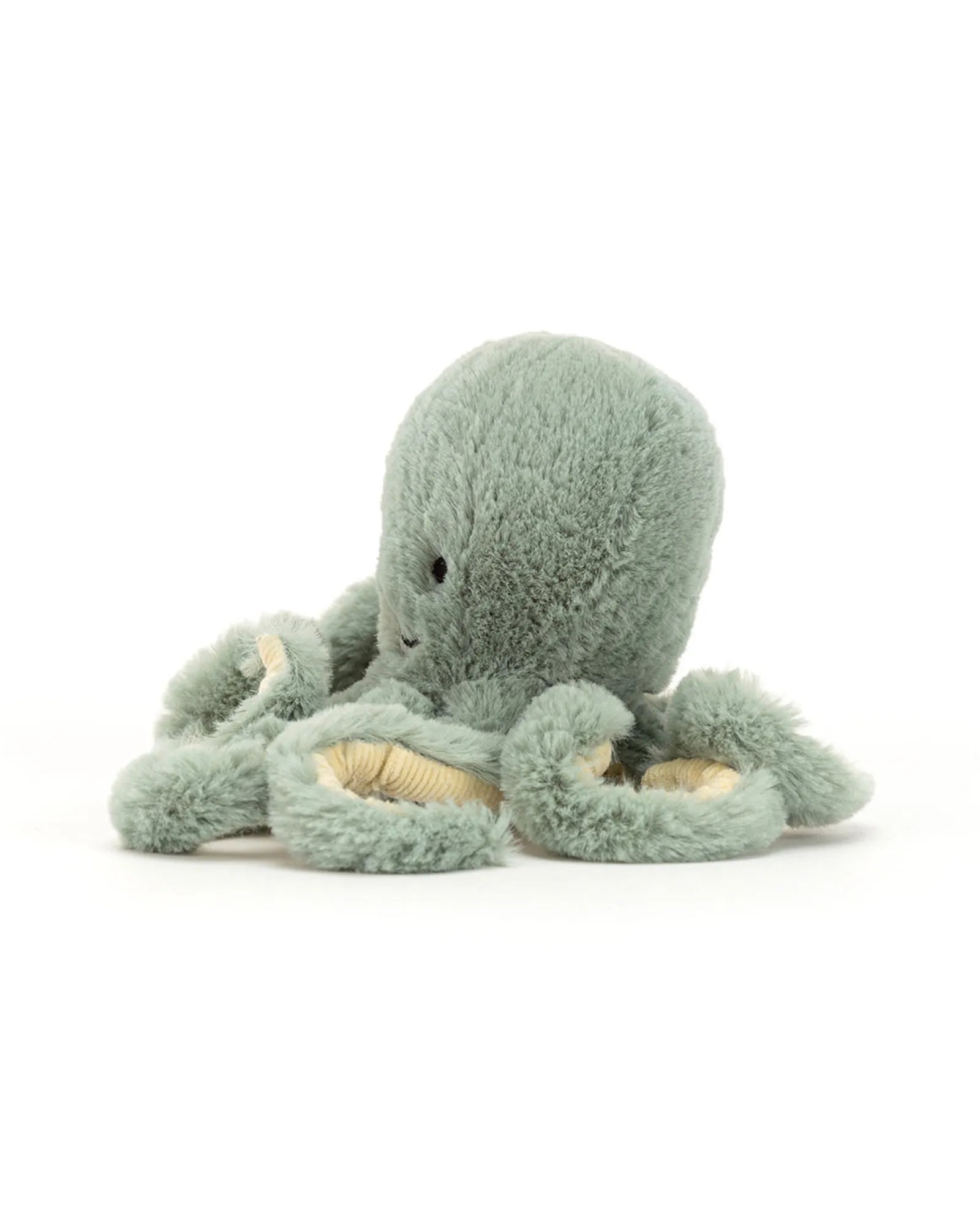 Odyssey Octopus