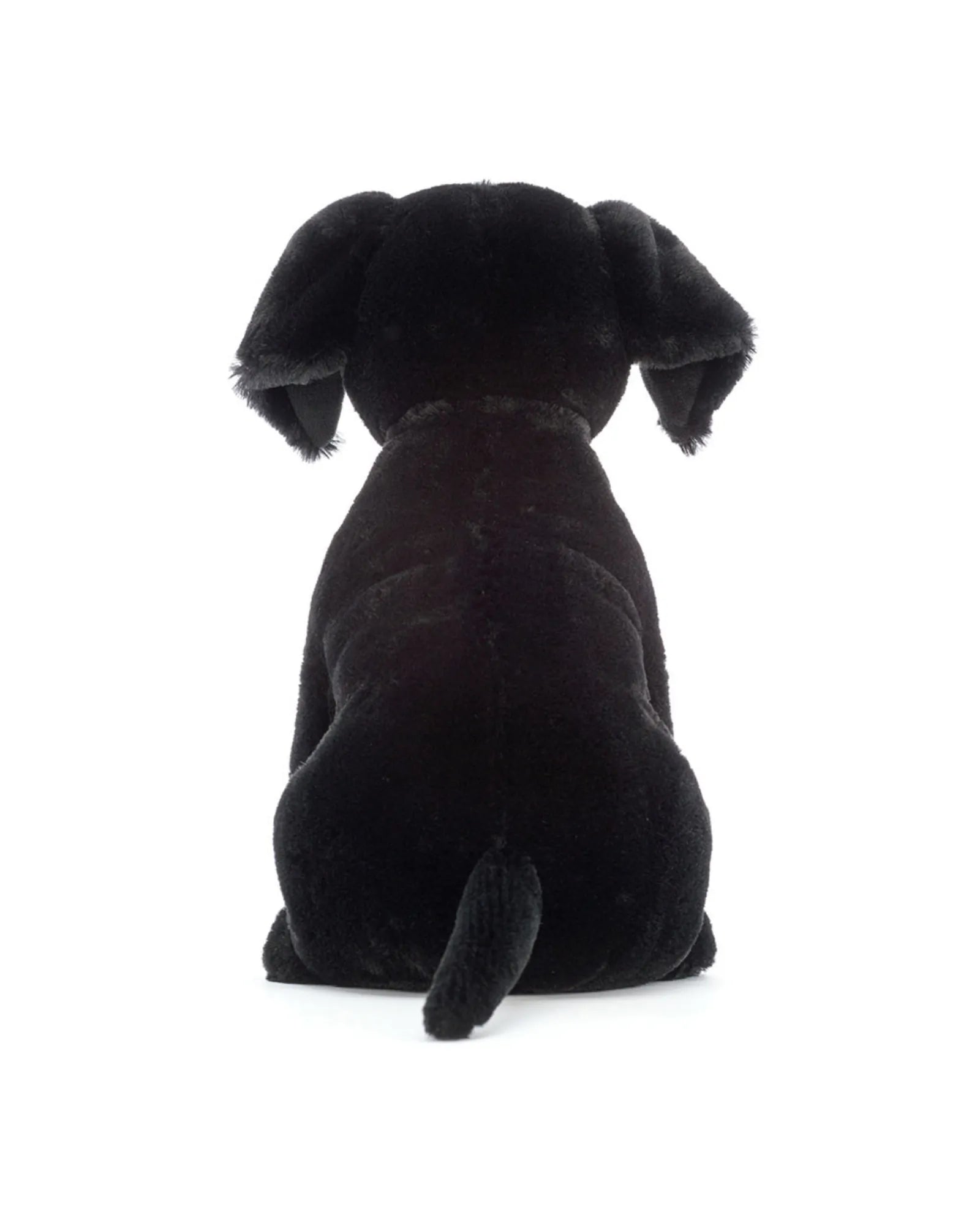 Pippa Black Labrador