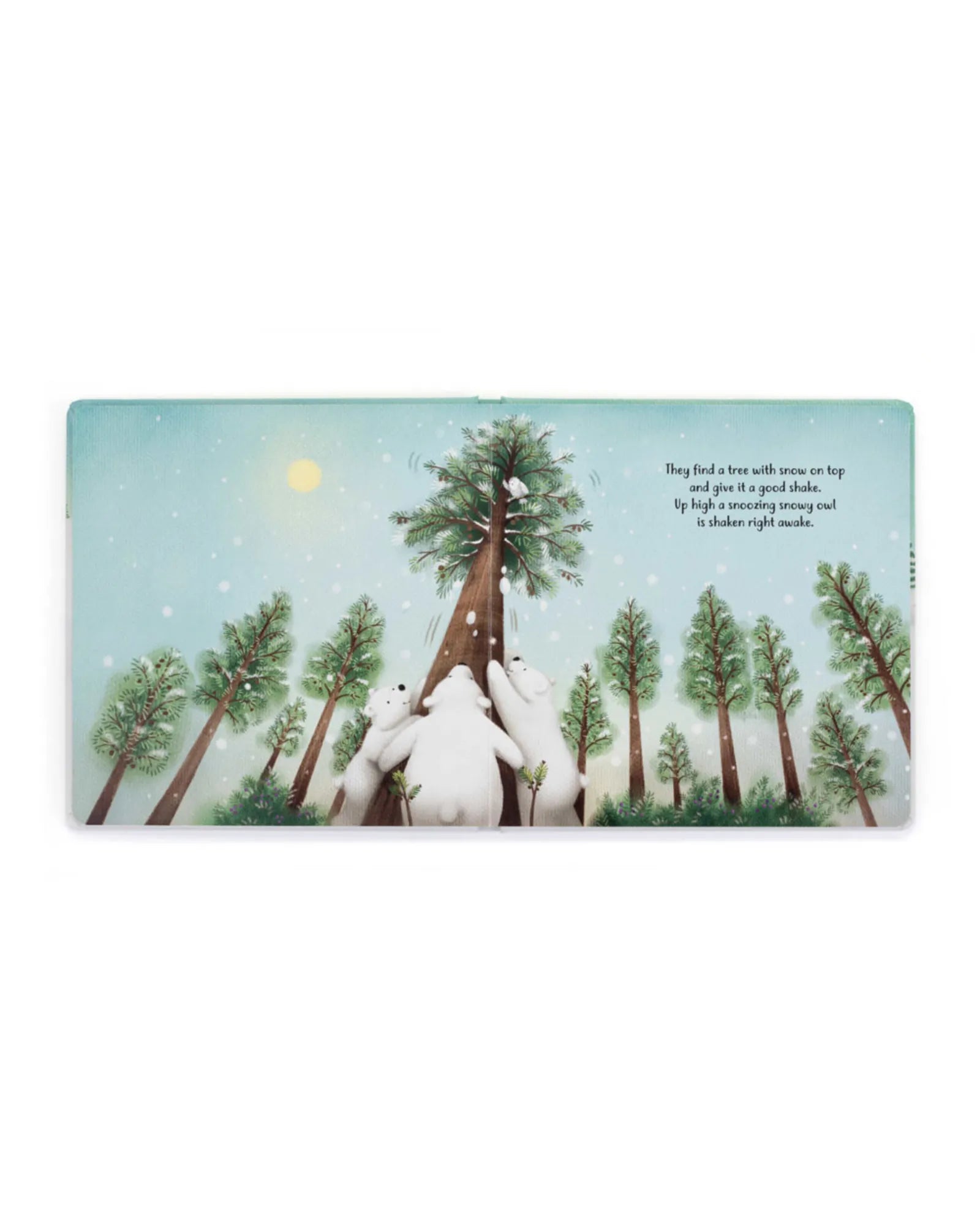 The Playful Polar Bears Book