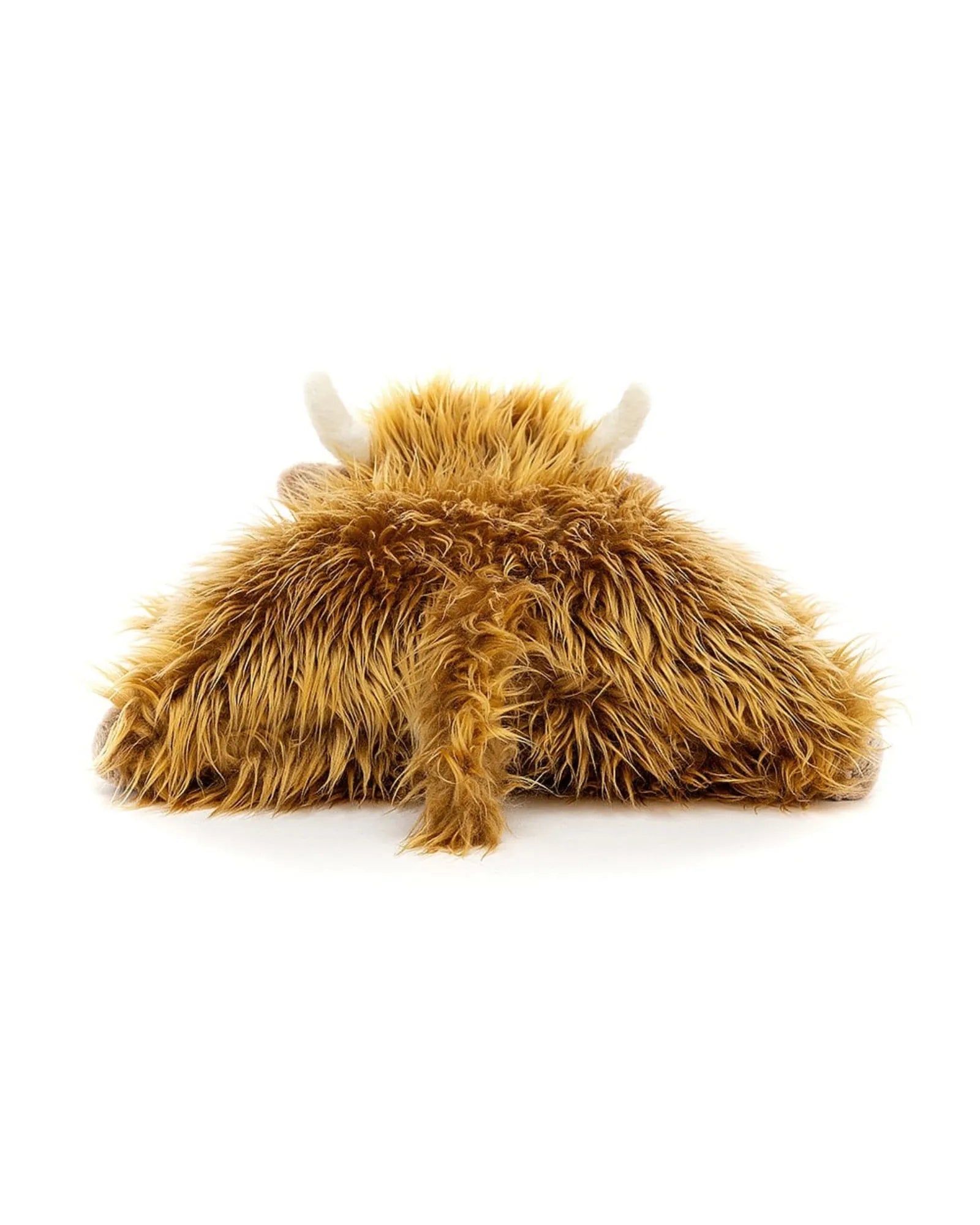 Truffles Highland Cow