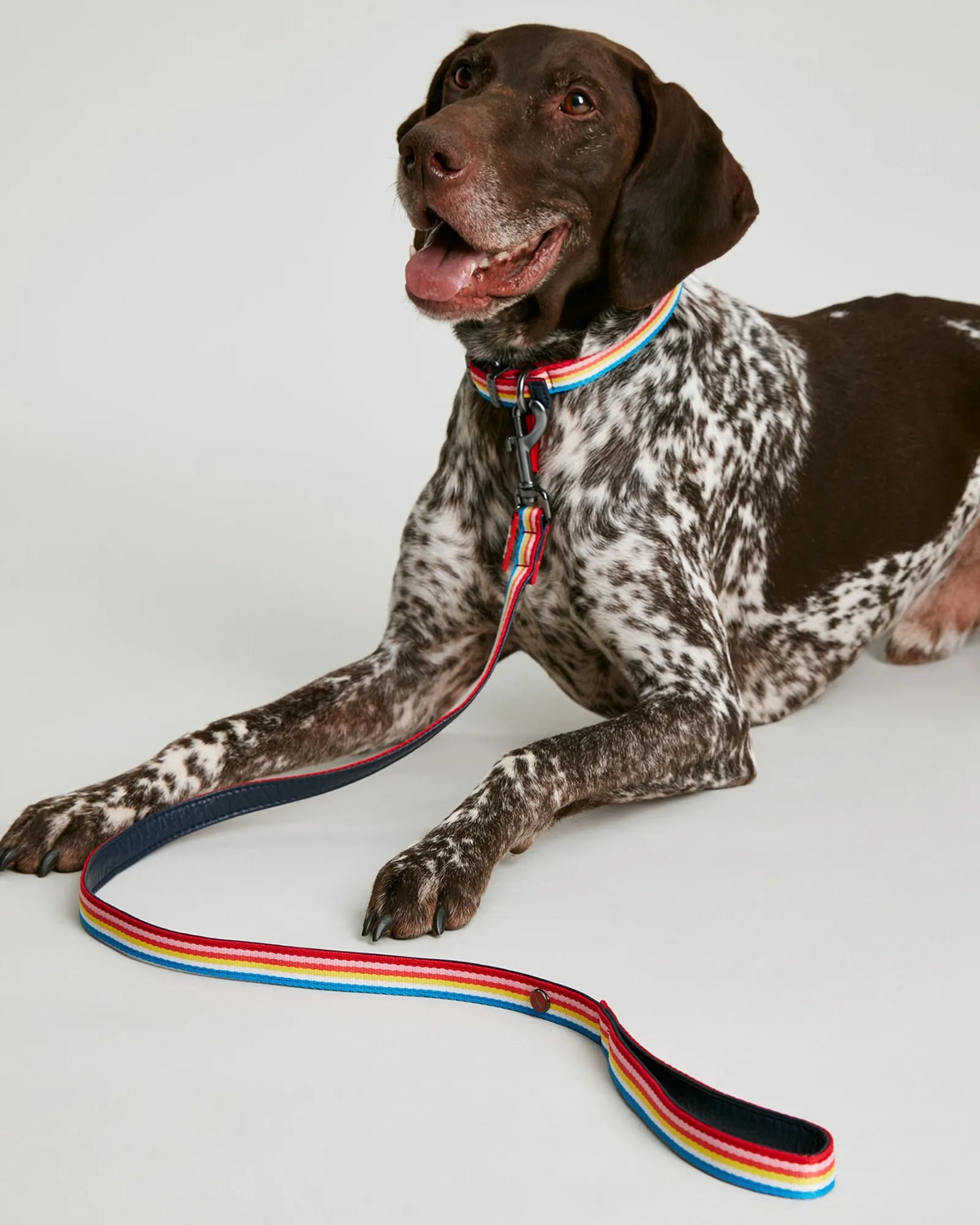 Joules Rainbow Stripe Dog Lead
