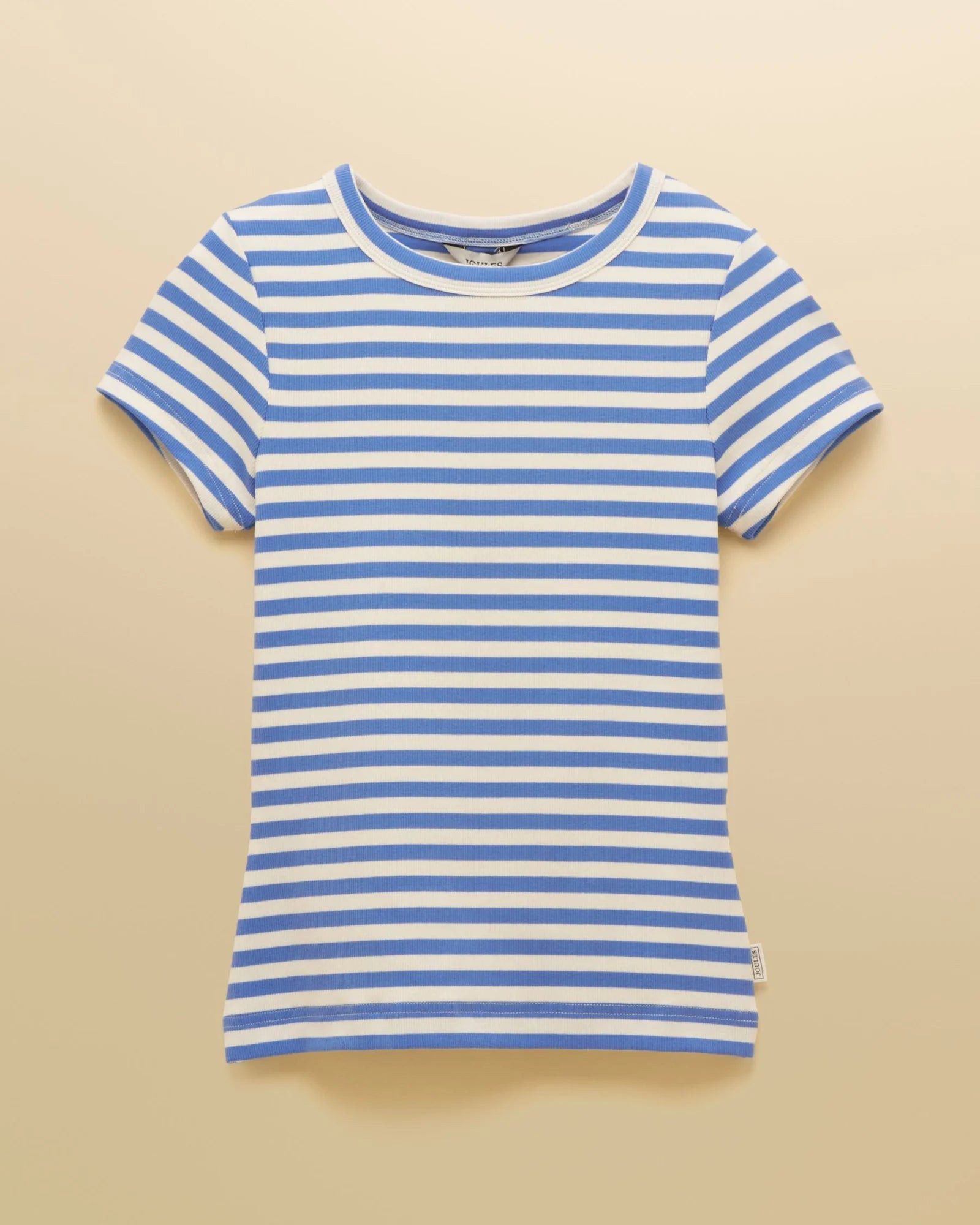Sophie Short Sleeve T-Shirt - Blue Stripe
