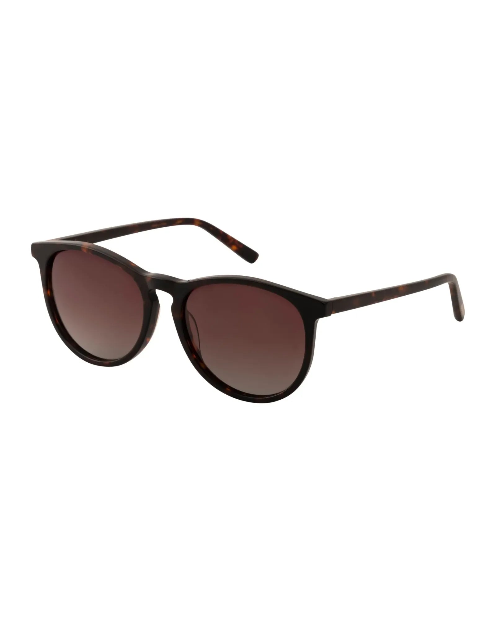 SAHARA Recycled Sunglasses - Tortoise Brown