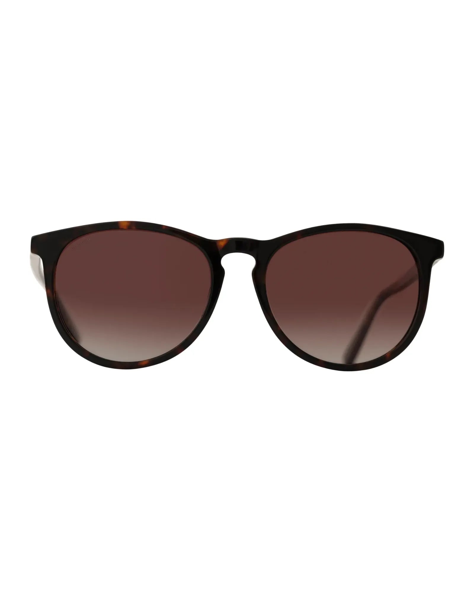 SAHARA Recycled Sunglasses - Tortoise Brown